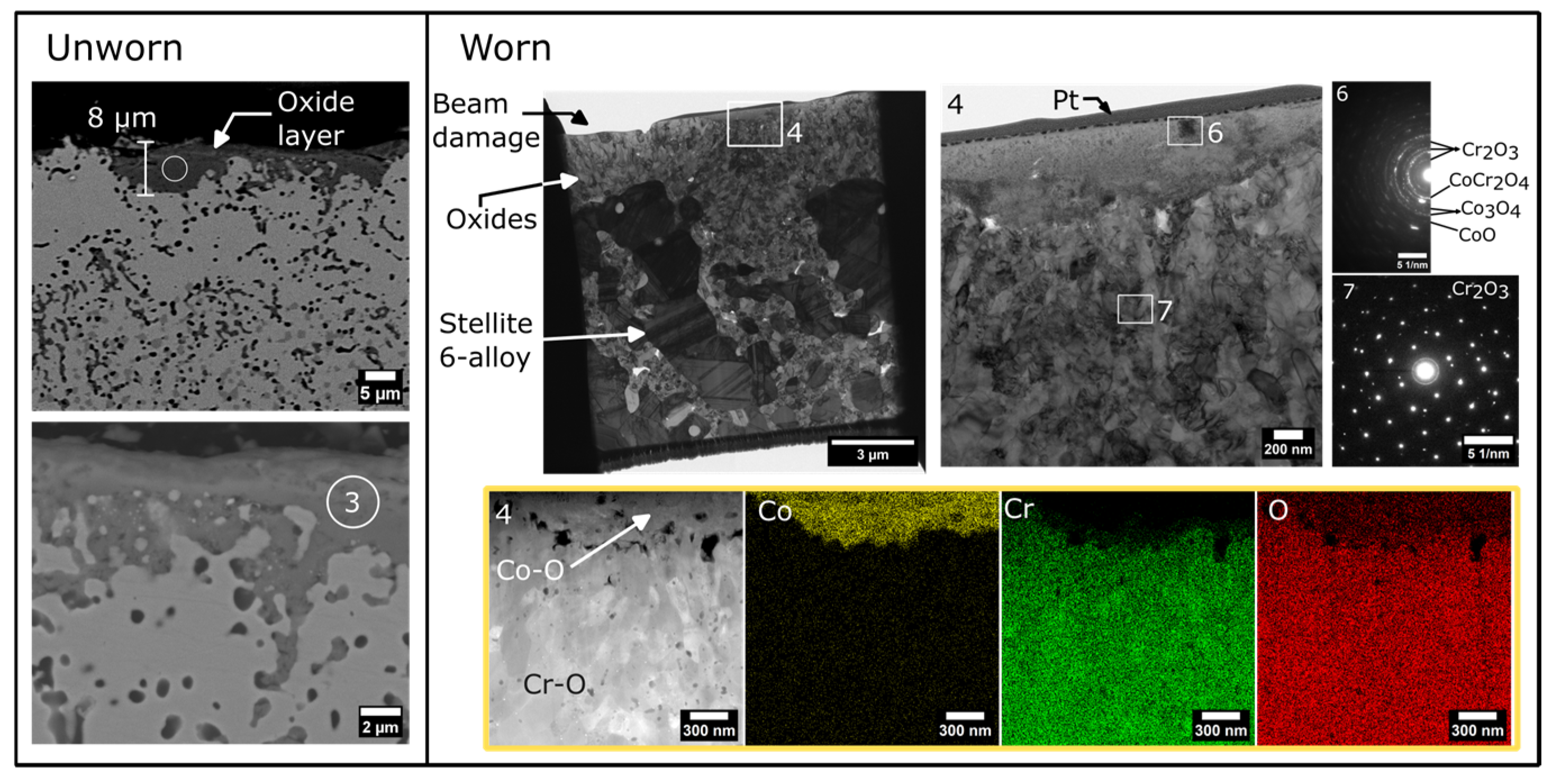 Lubricants 13 00264 g017