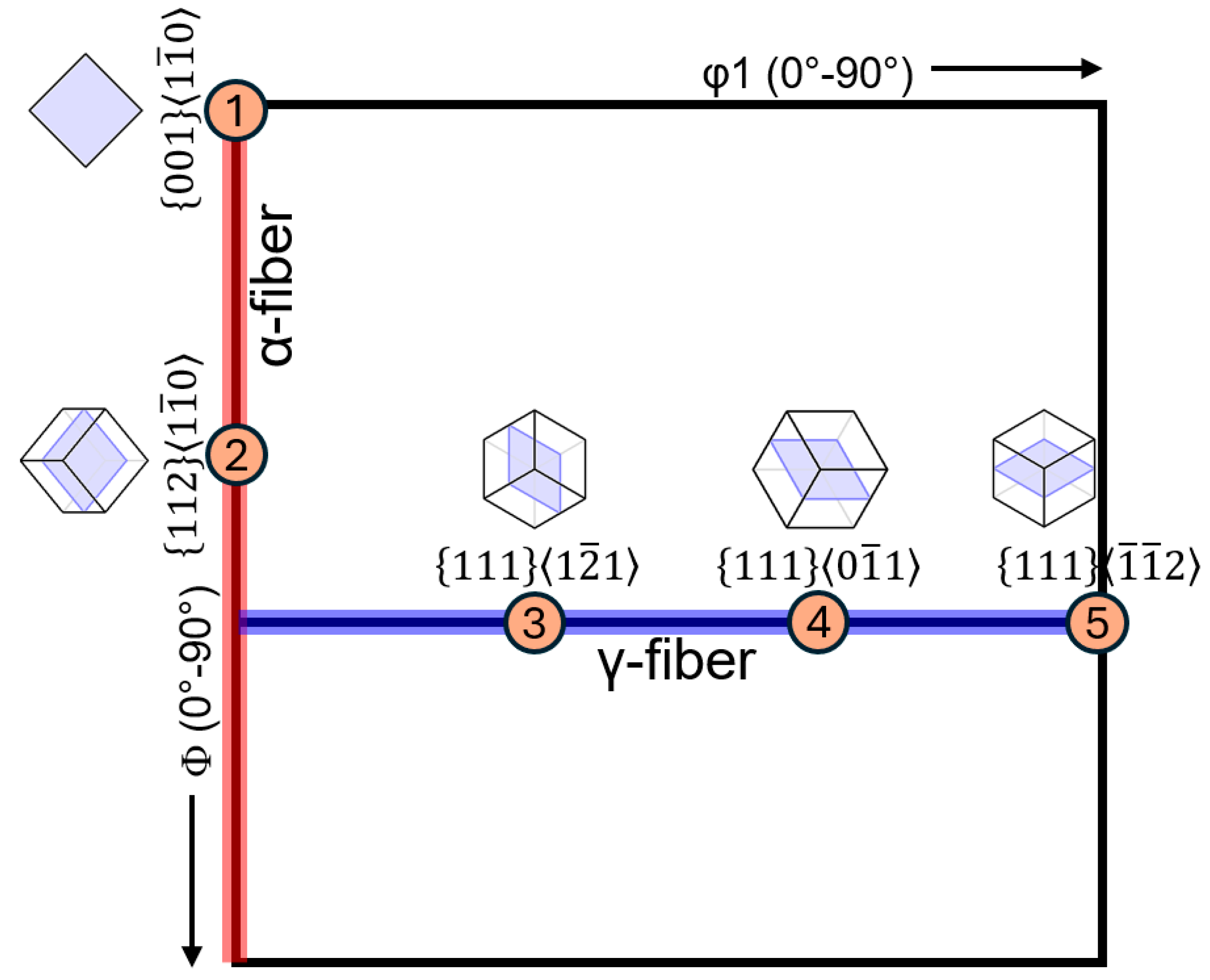 Lubricants 13 00265 g003