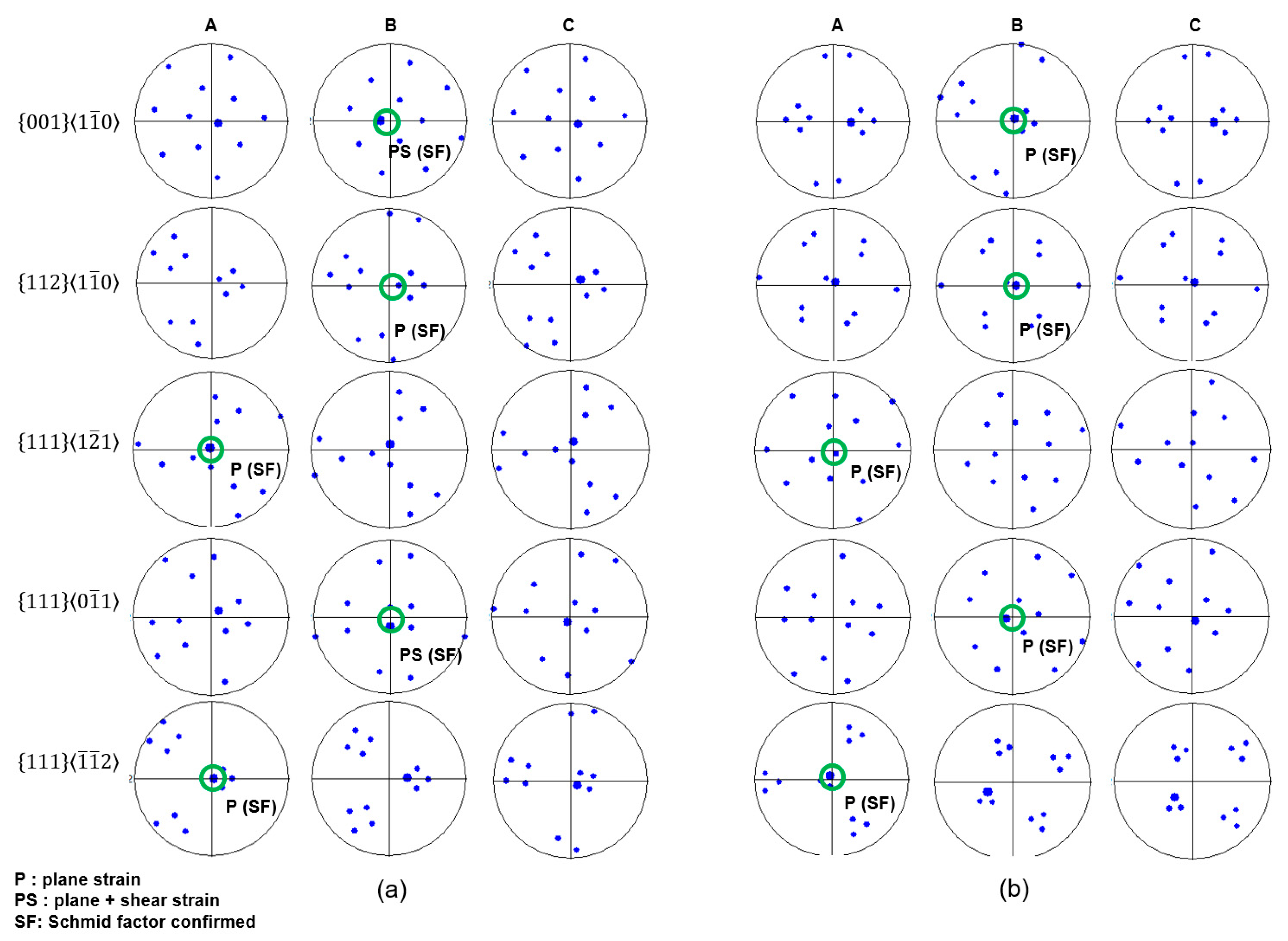 Lubricants 13 00265 g005