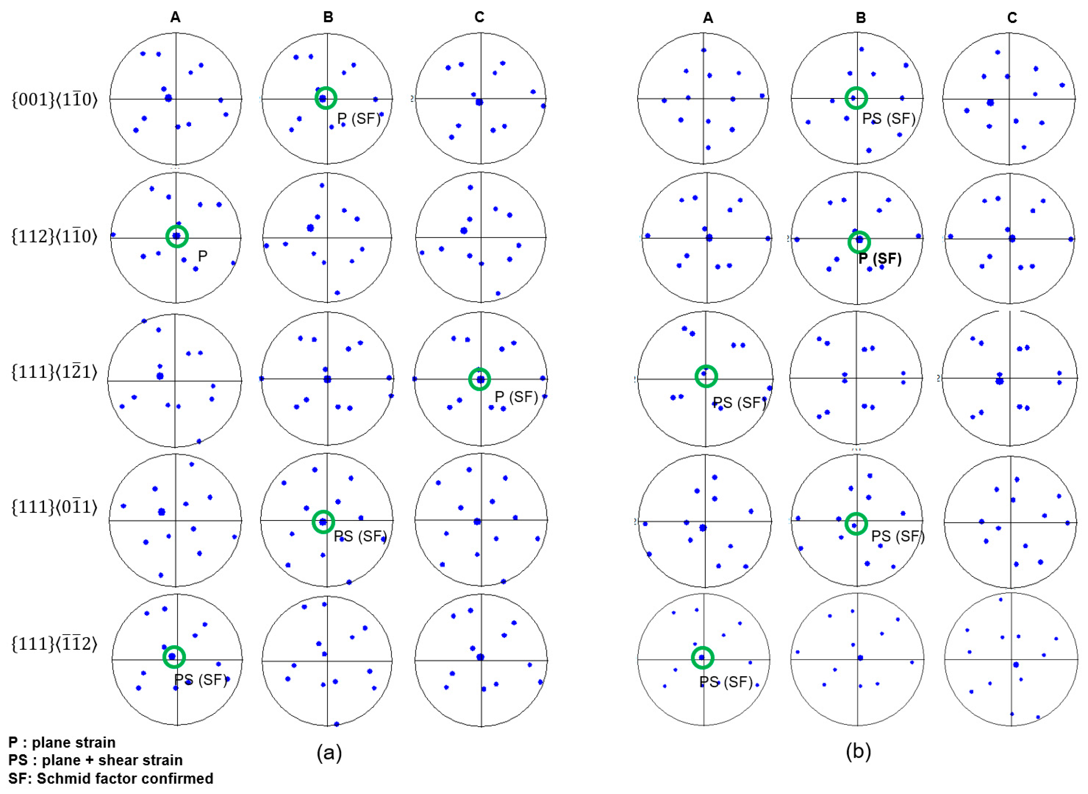 Lubricants 13 00265 g006