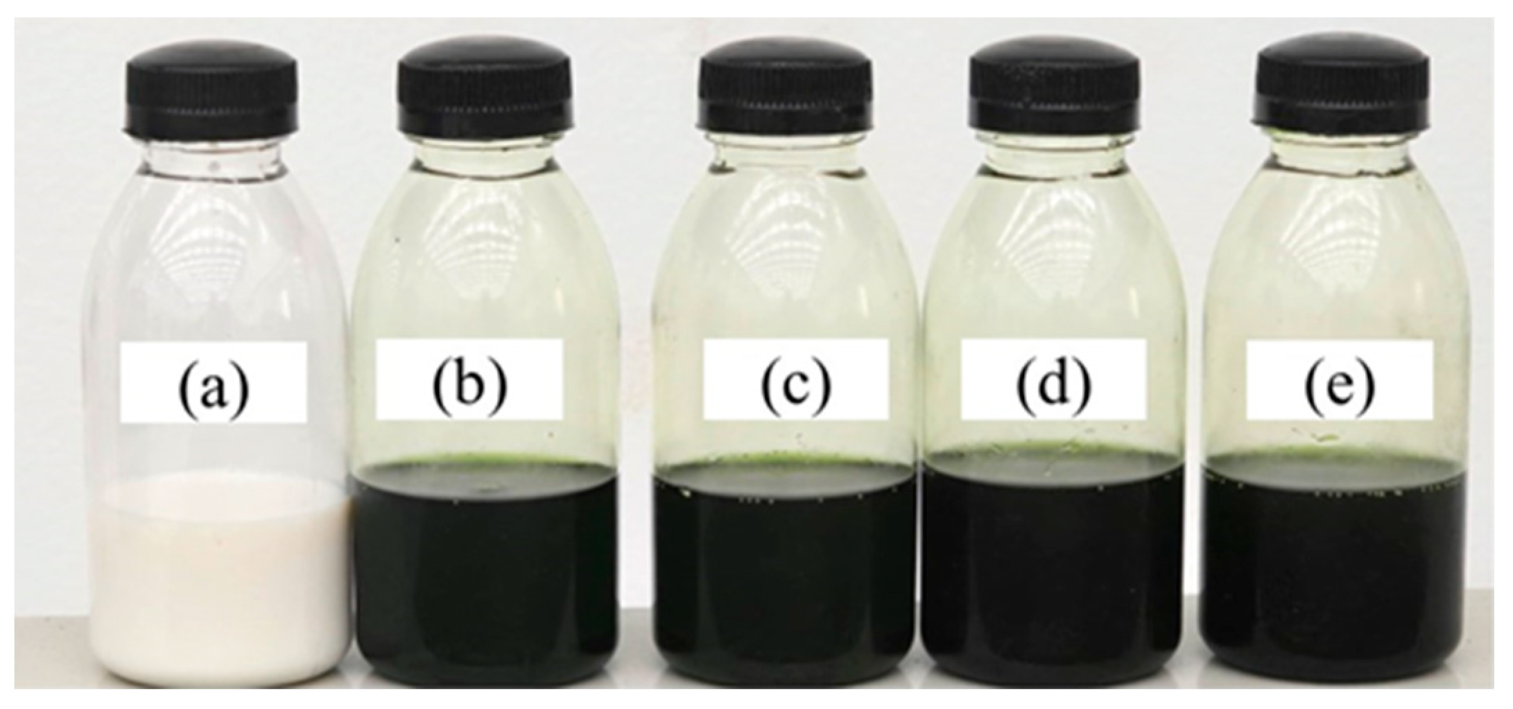 Lubricants 13 00267 g001