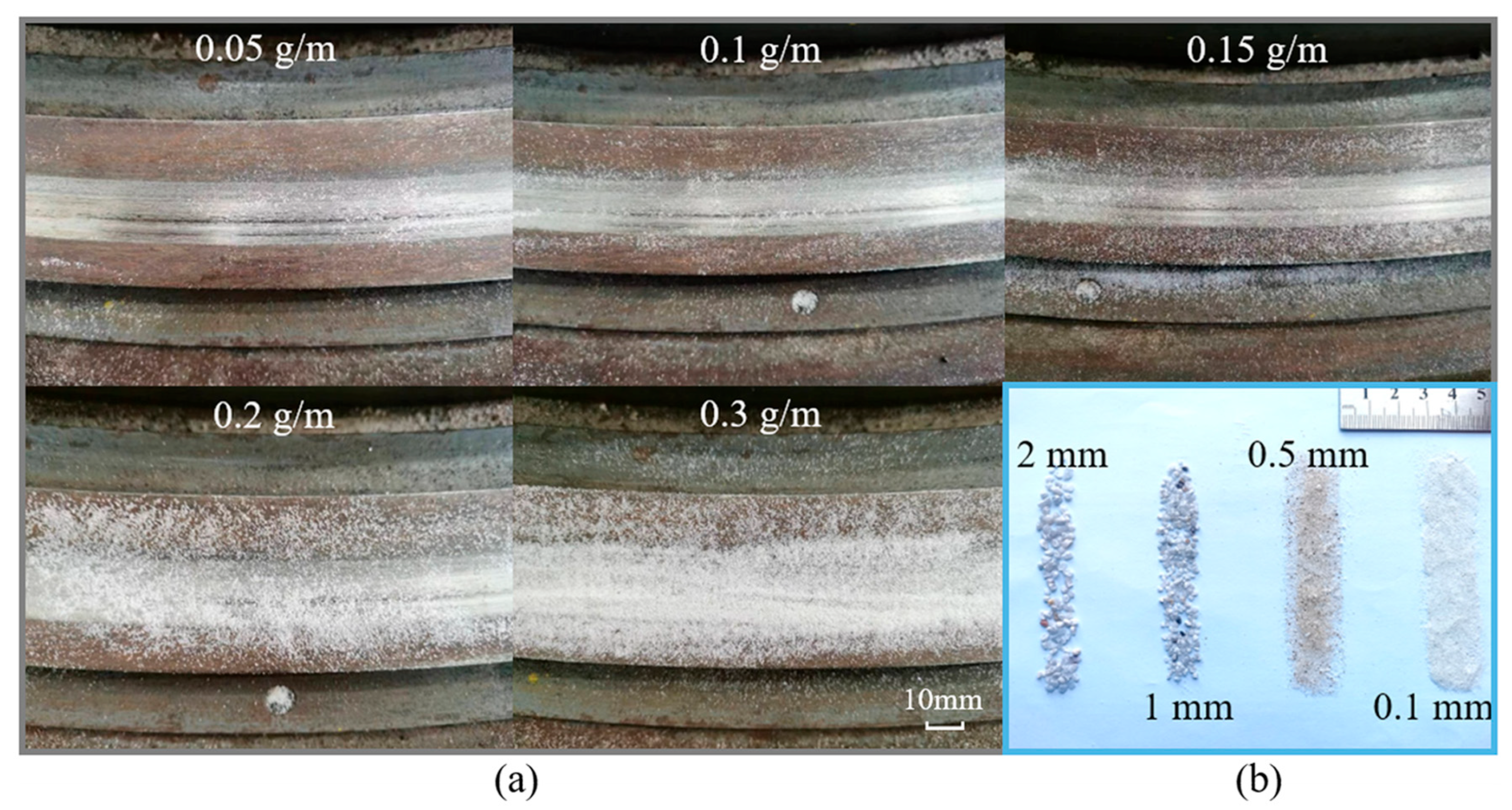 Lubricants 13 00270 g003