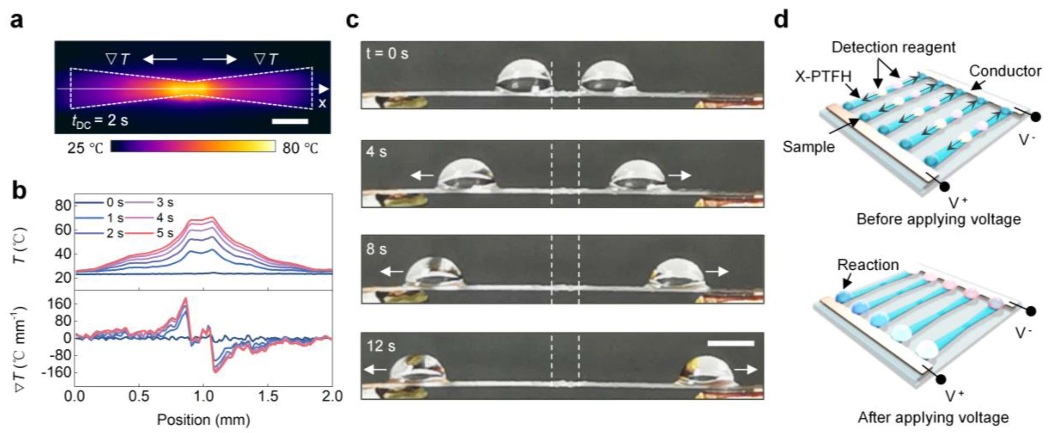 Lubricants 13 00272 g006