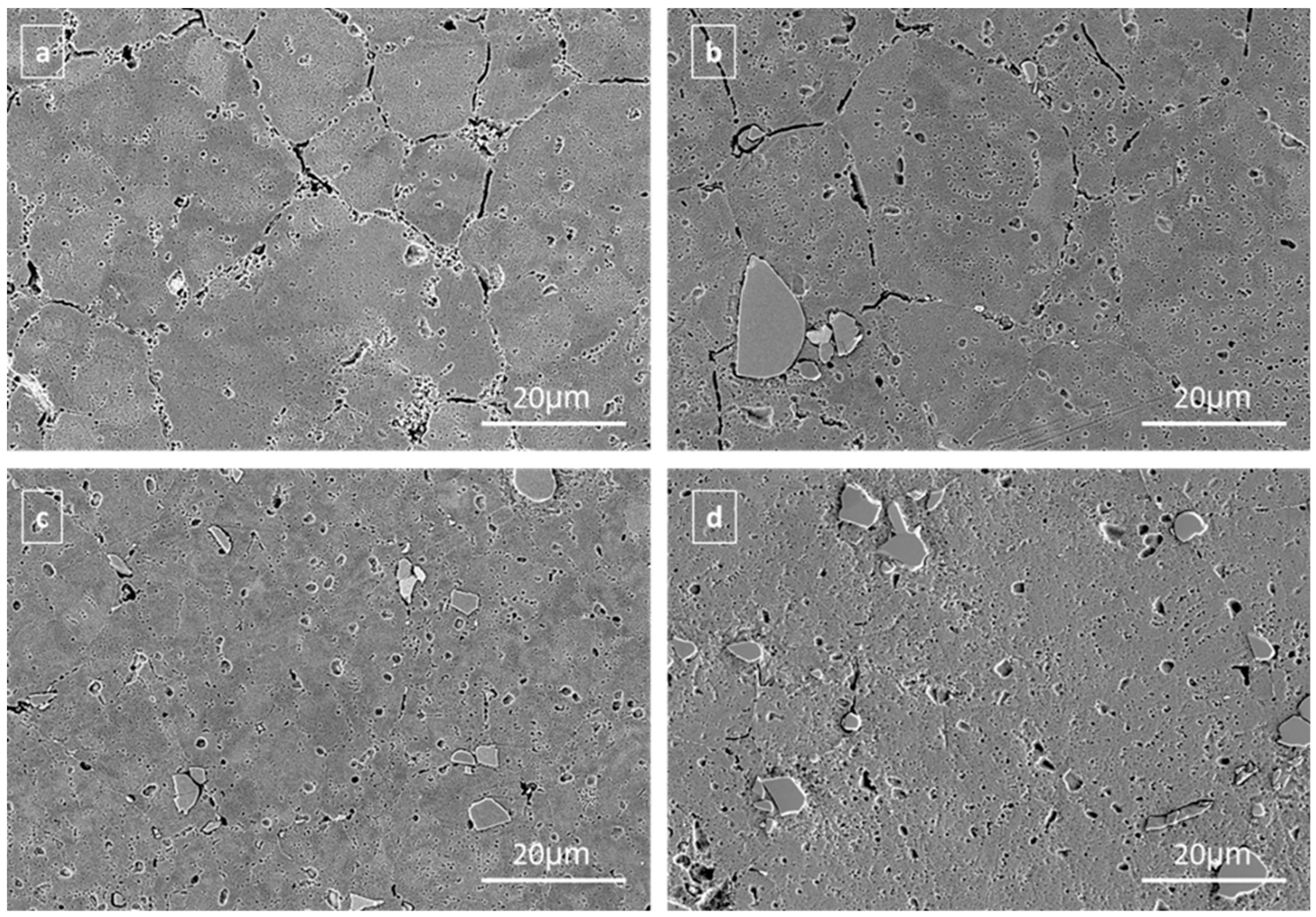 Lubricants 13 00276 g003