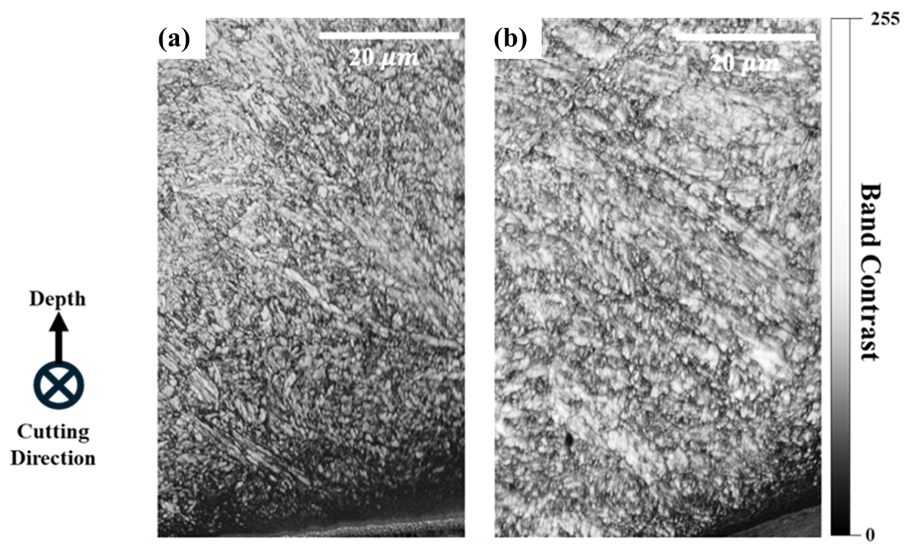 Lubricants 13 00278 g007