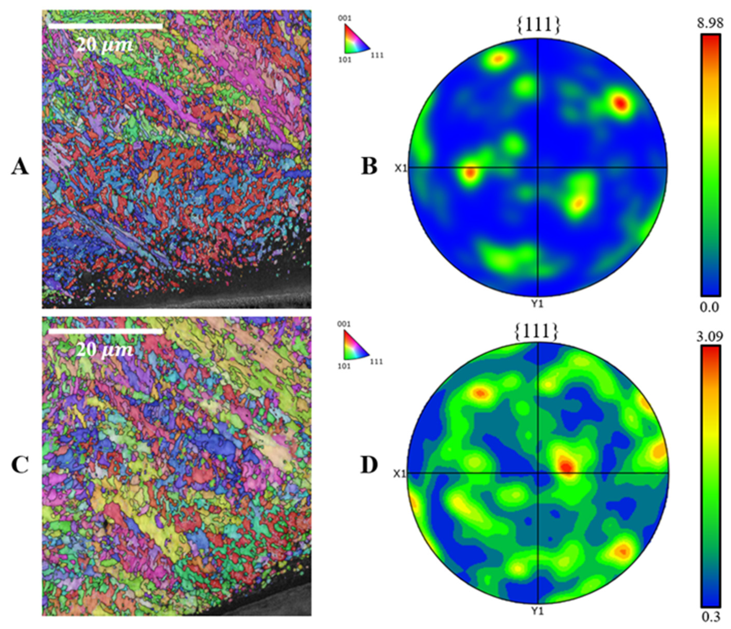 Lubricants 13 00278 g009