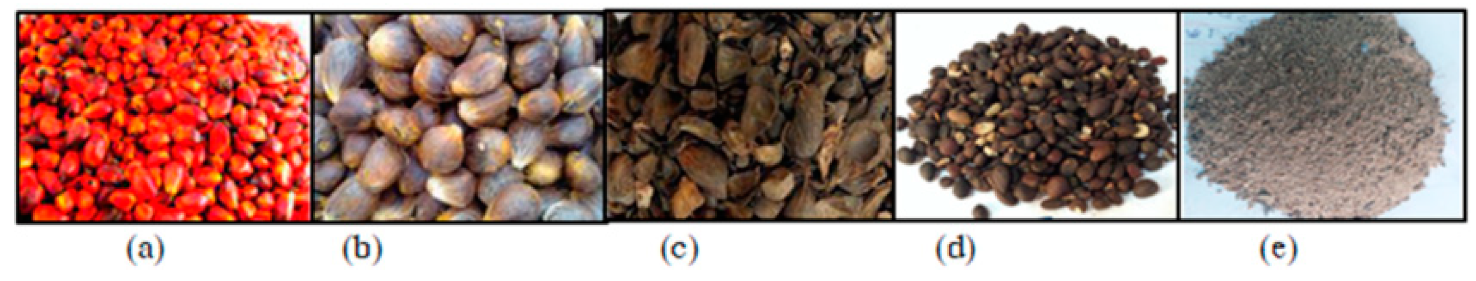 Lubricants 13 00279 g001