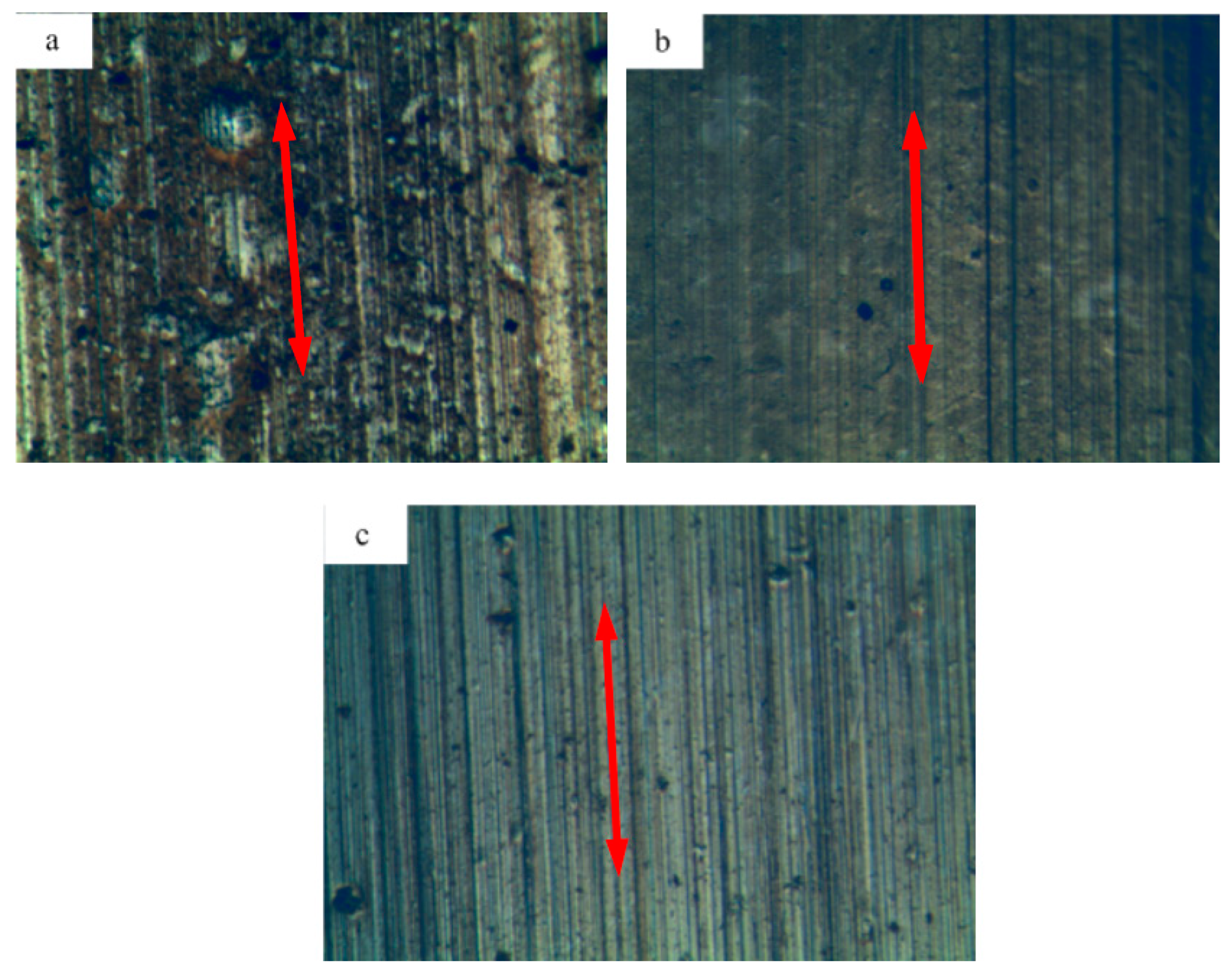Lubricants 13 00280 g007