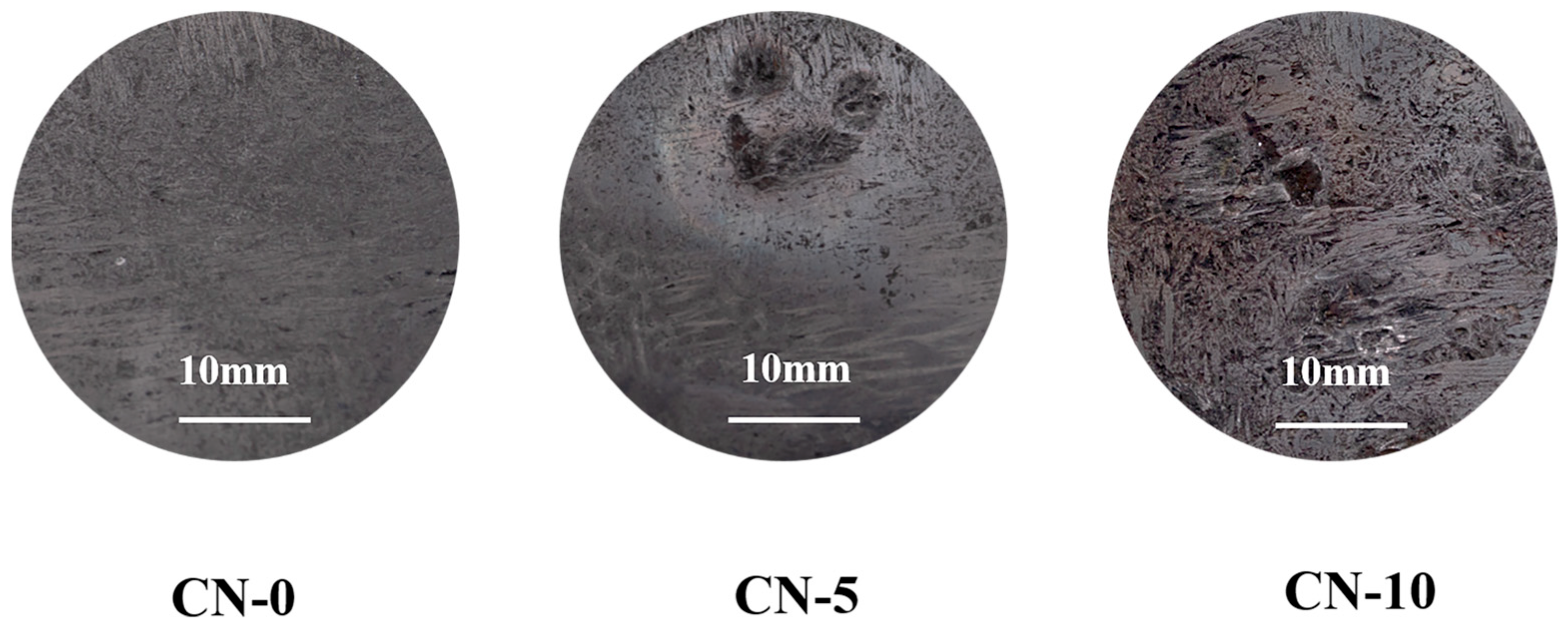 Lubricants 13 00282 g004