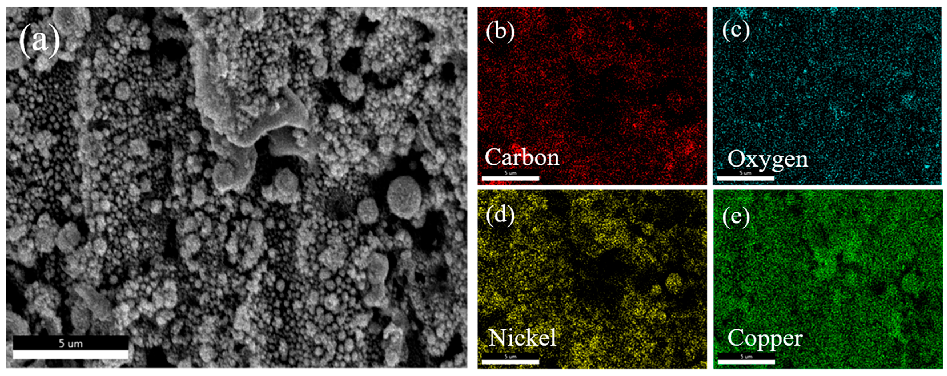Lubricants 13 00282 g007