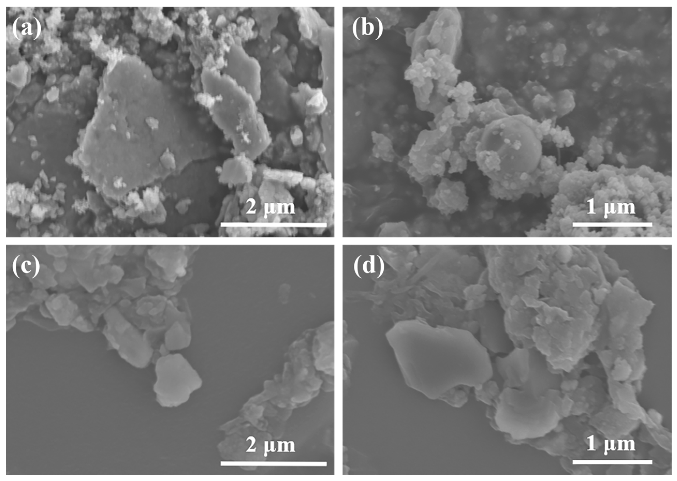 Lubricants 13 00282 g012