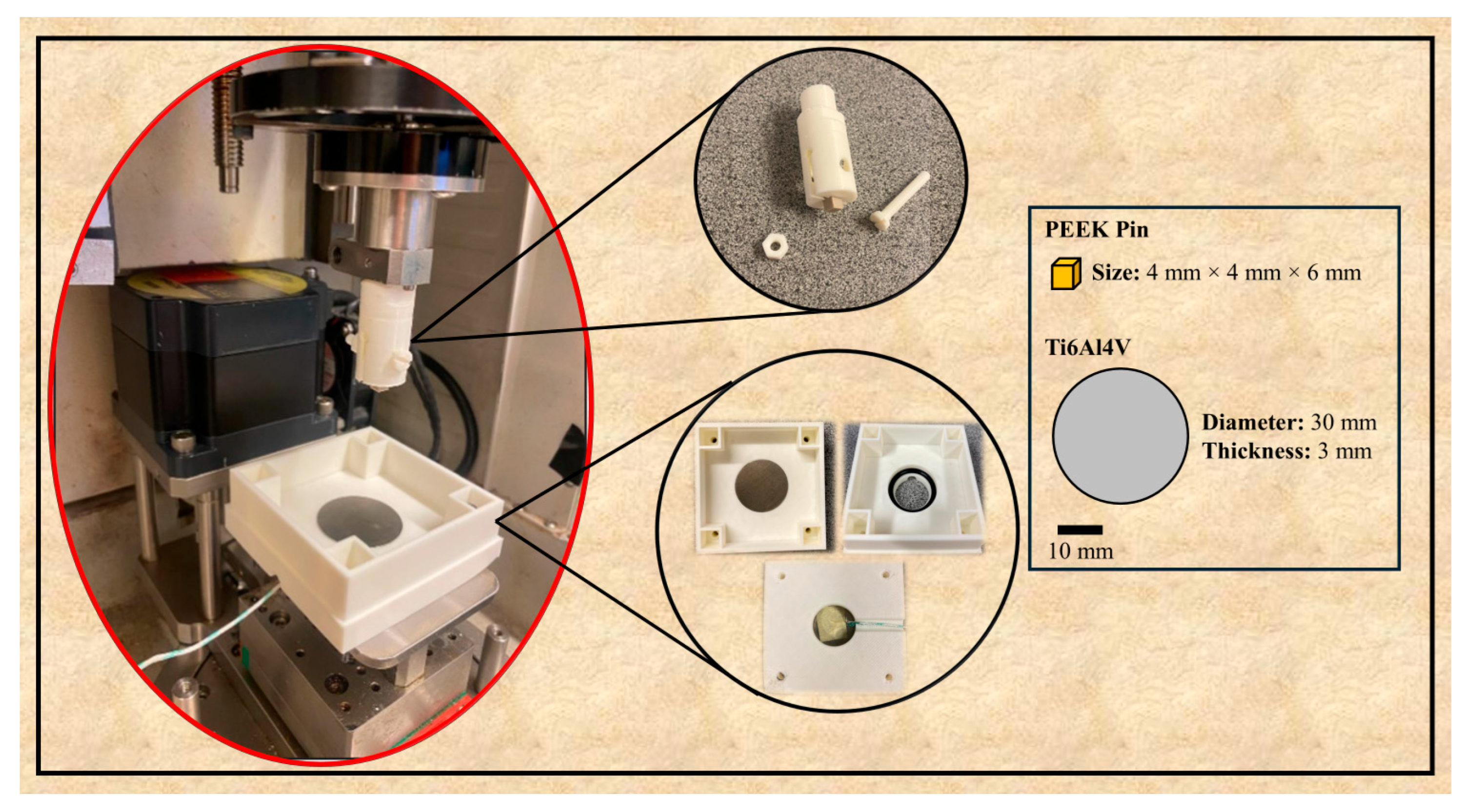 Lubricants 13 00283 g001