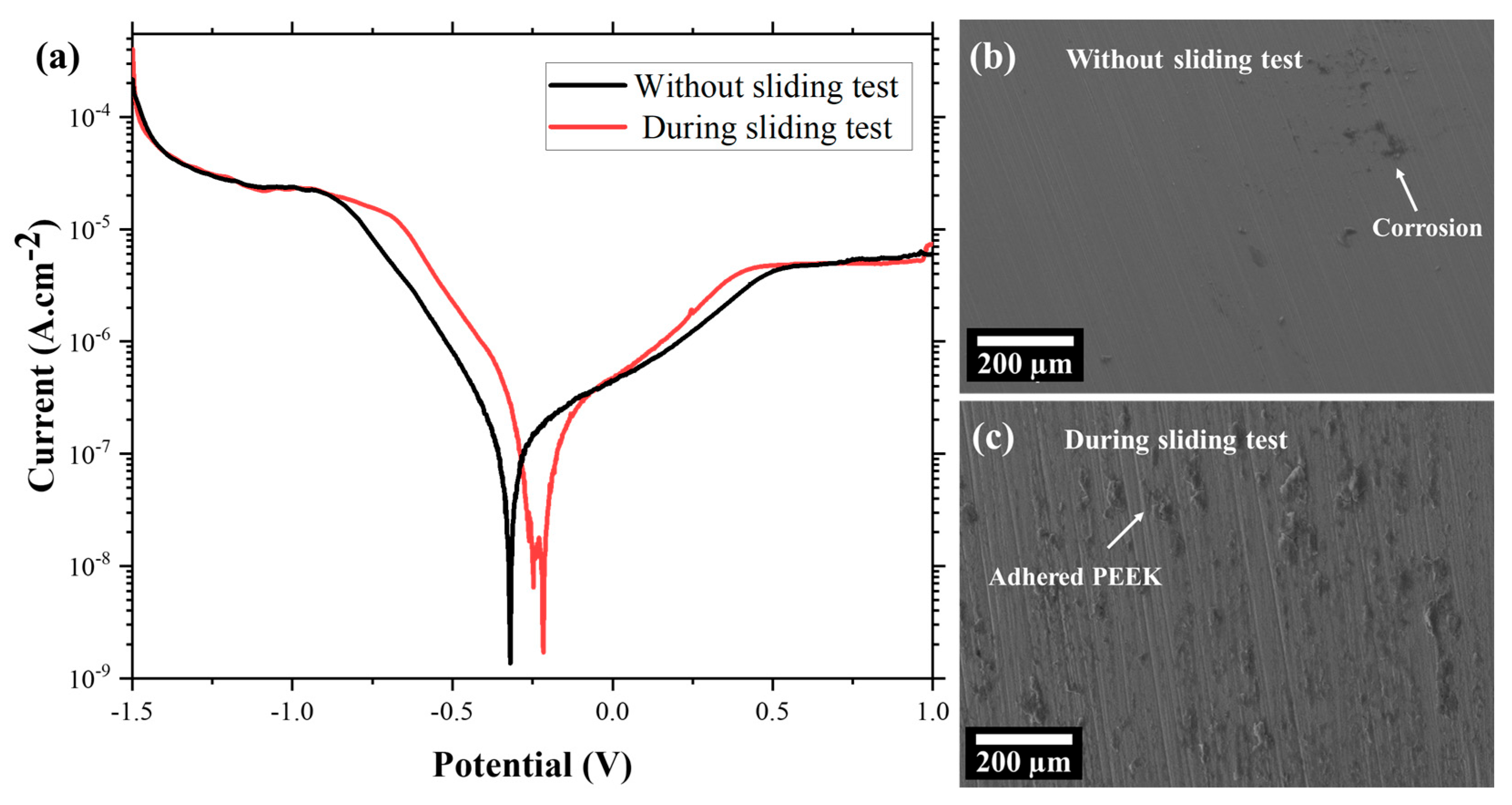Lubricants 13 00283 g004