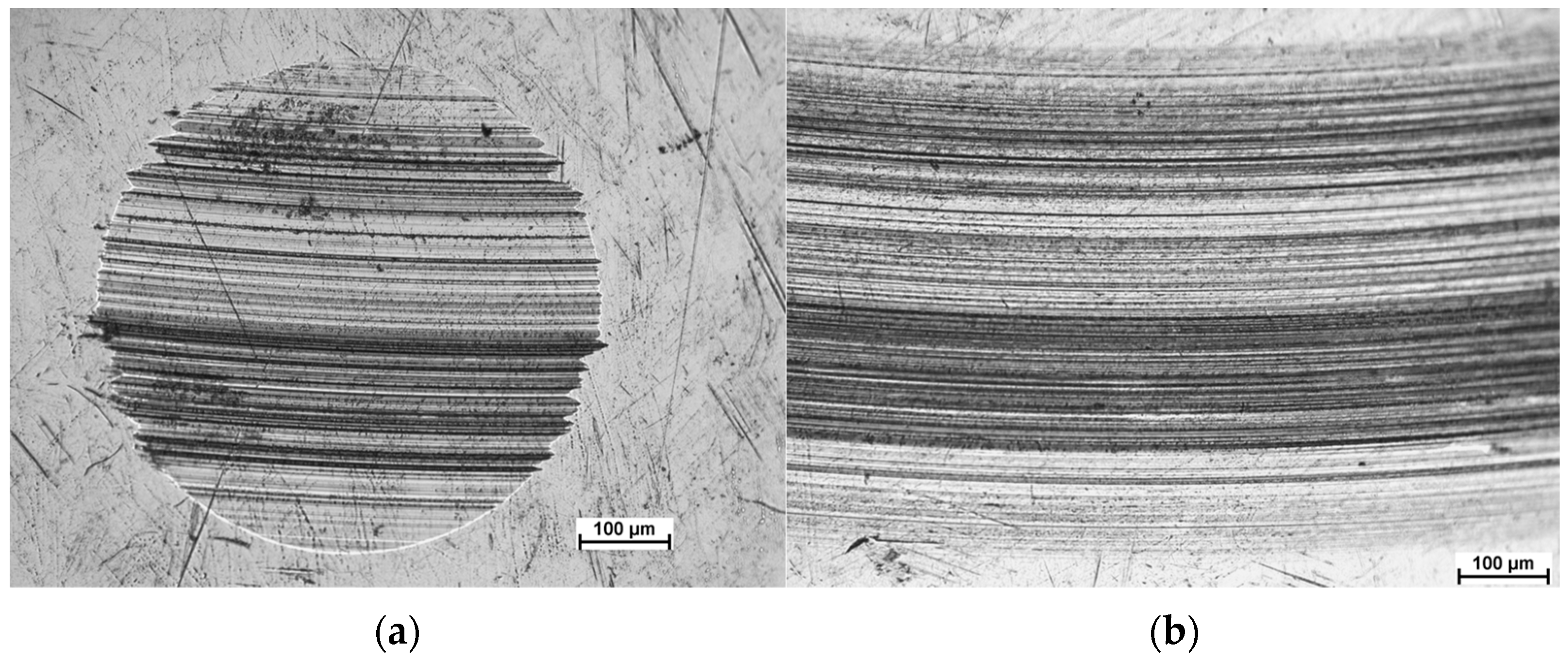 Lubricants 13 00284 g004