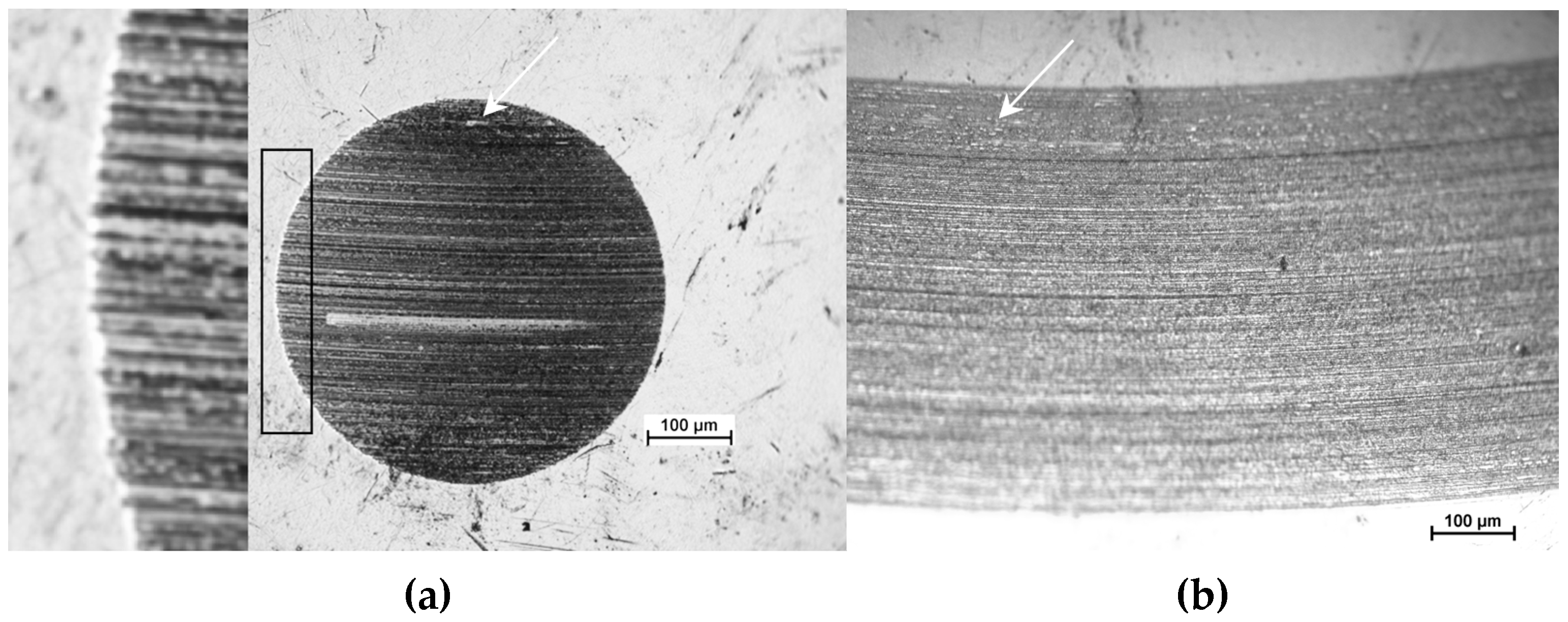 Lubricants 13 00284 g006