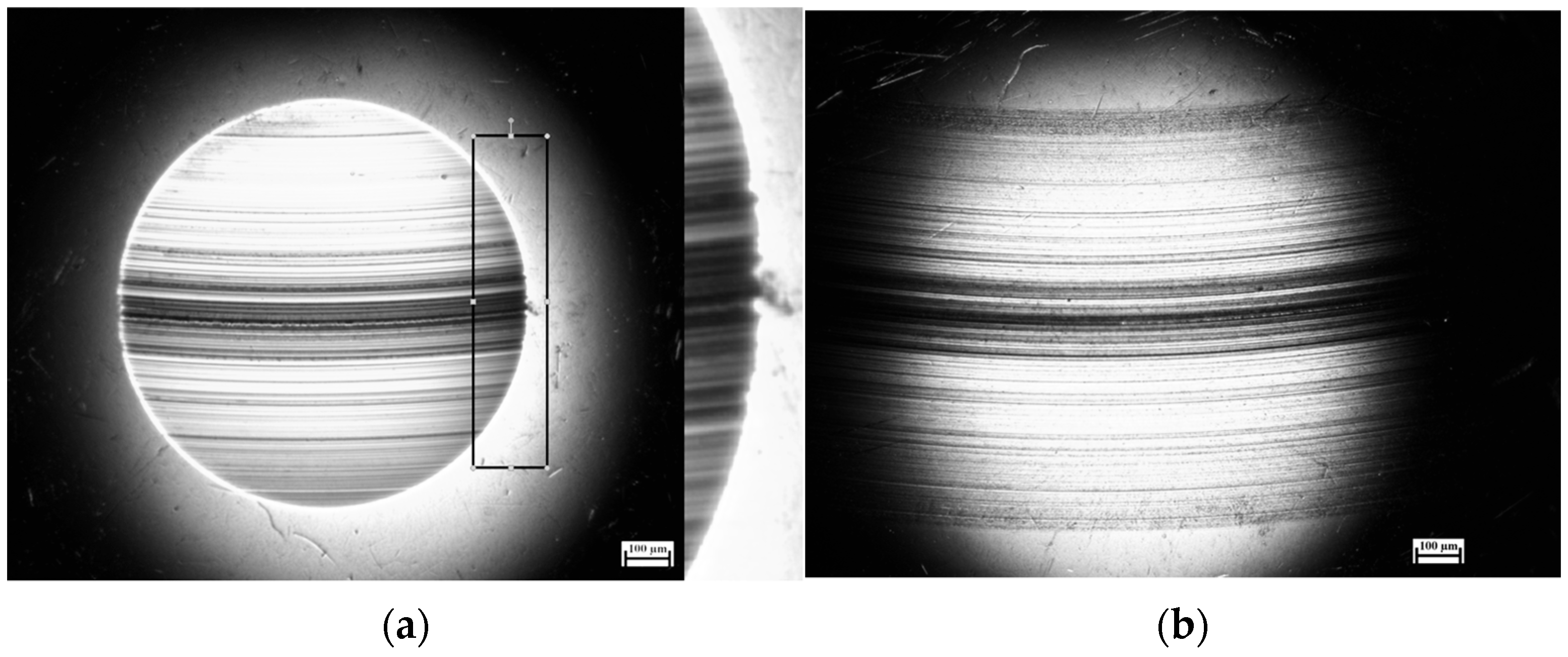Lubricants 13 00284 g008