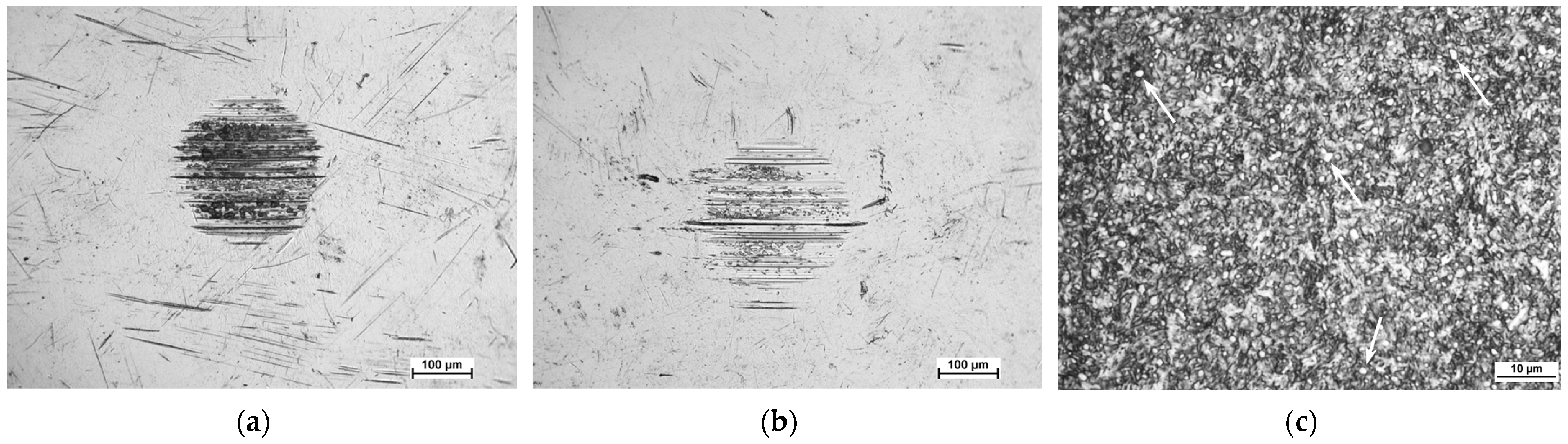 Lubricants 13 00284 g013