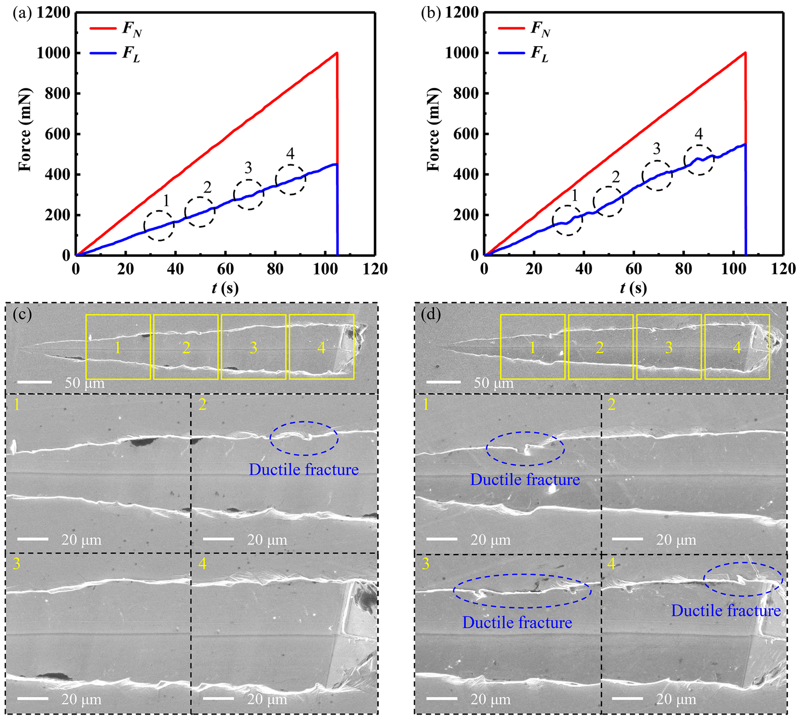 Lubricants 13 00286 g003
