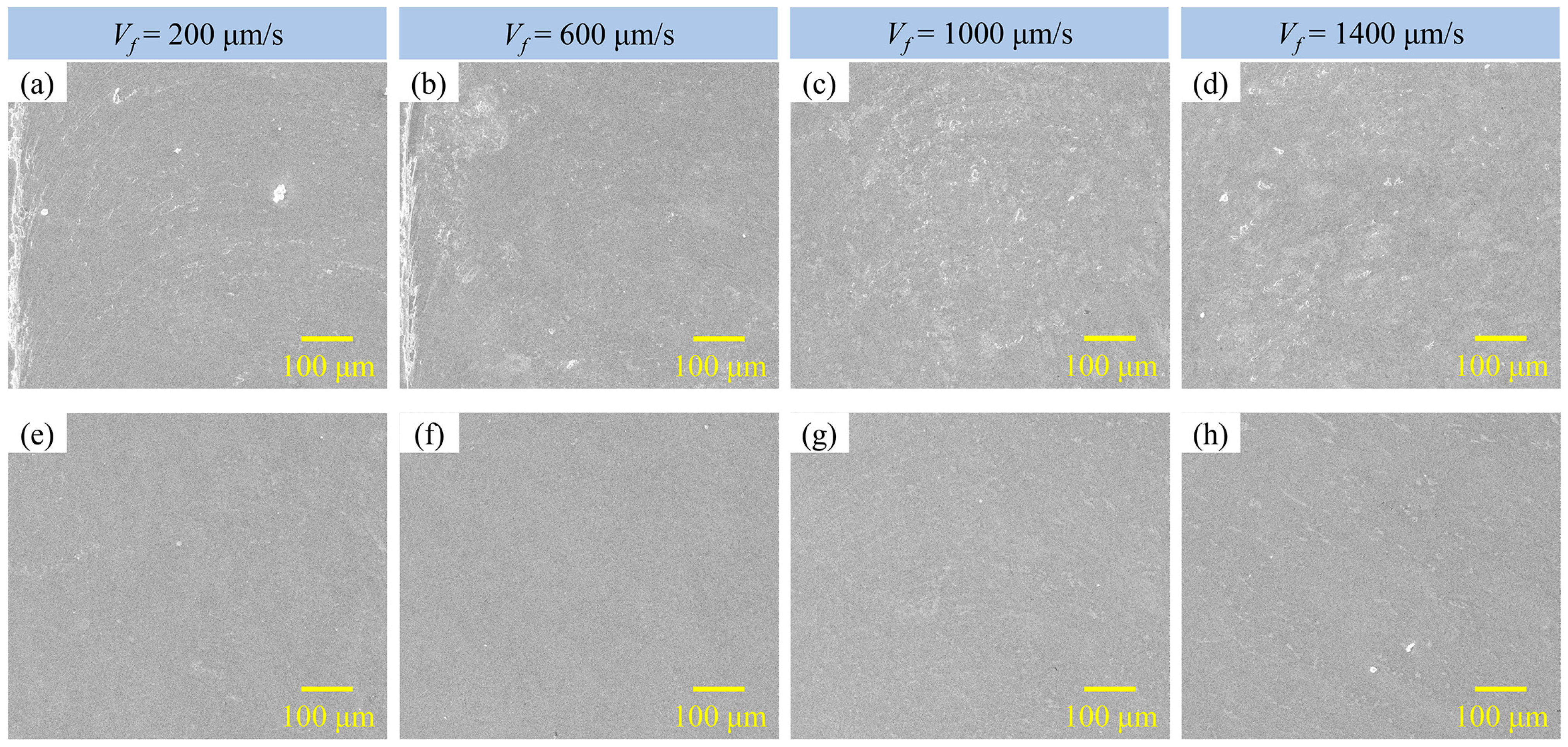 Lubricants 13 00286 g012