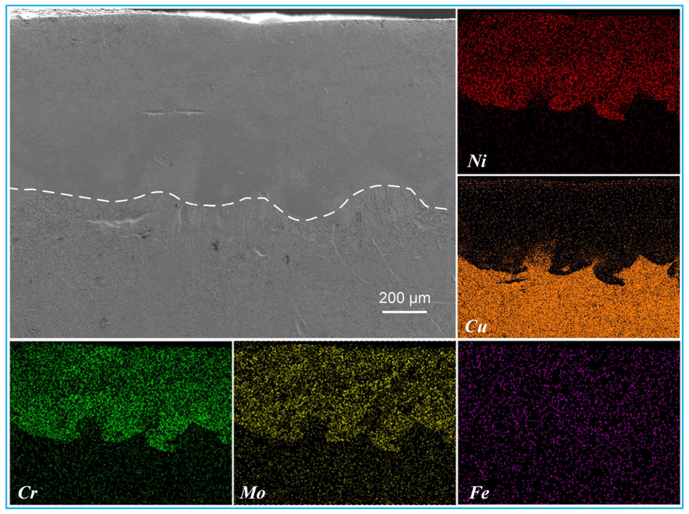 Lubricants 13 00289 g004