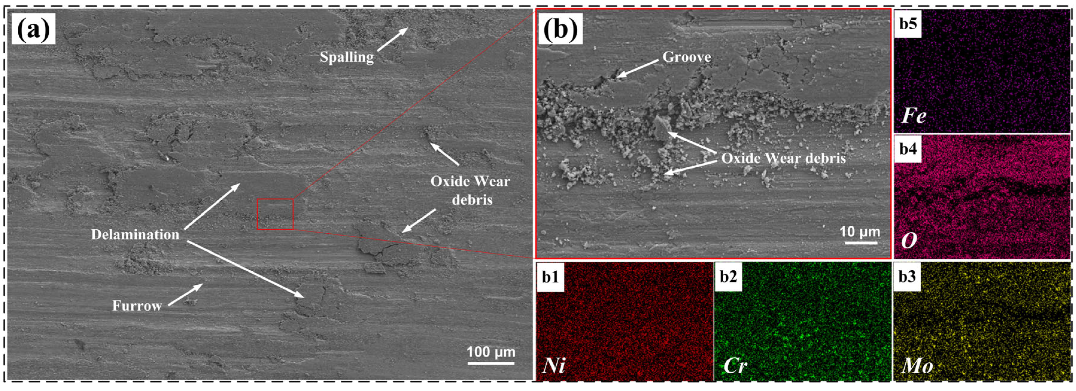 Lubricants 13 00289 g012