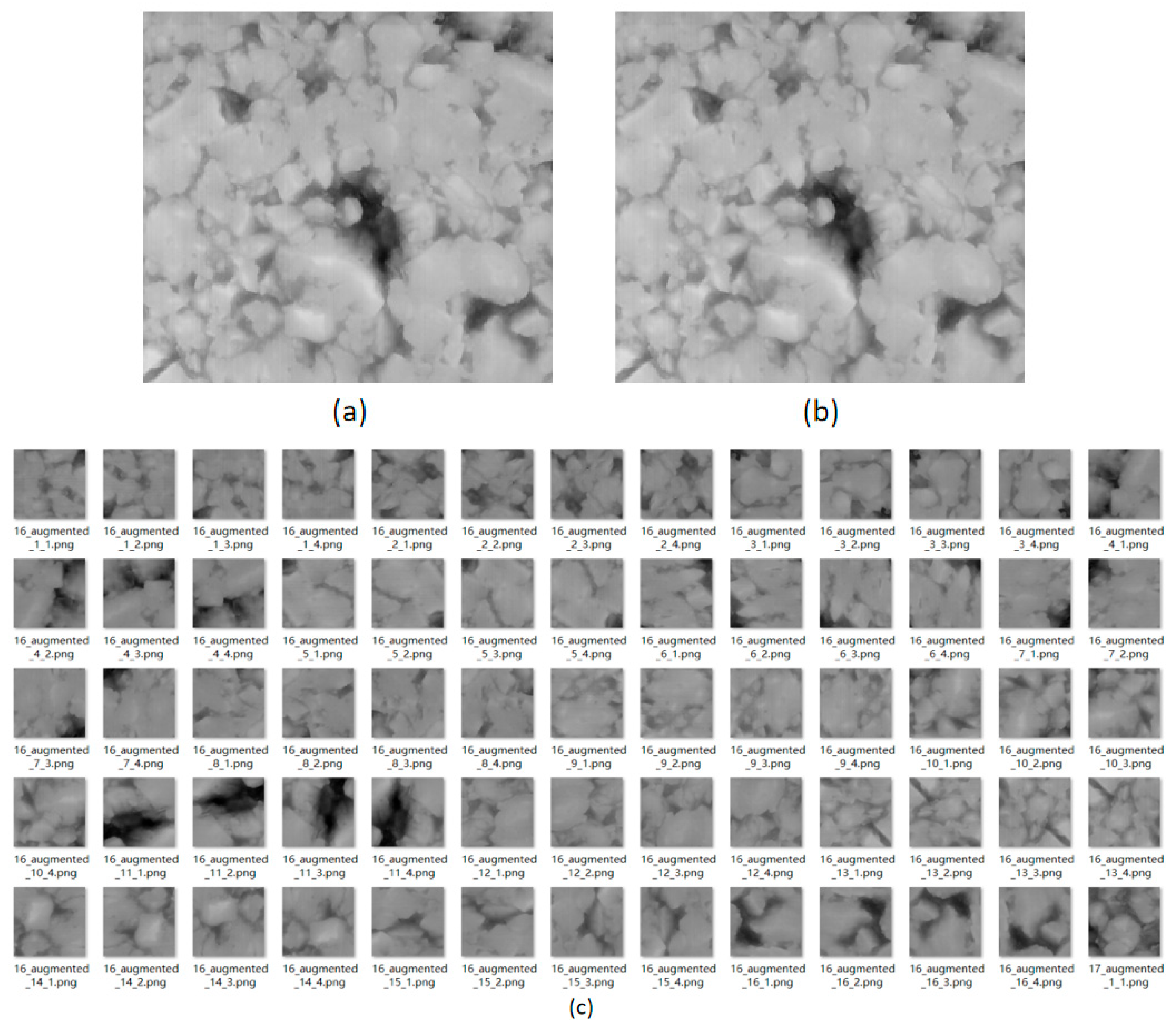 Lubricants 13 00291 g004