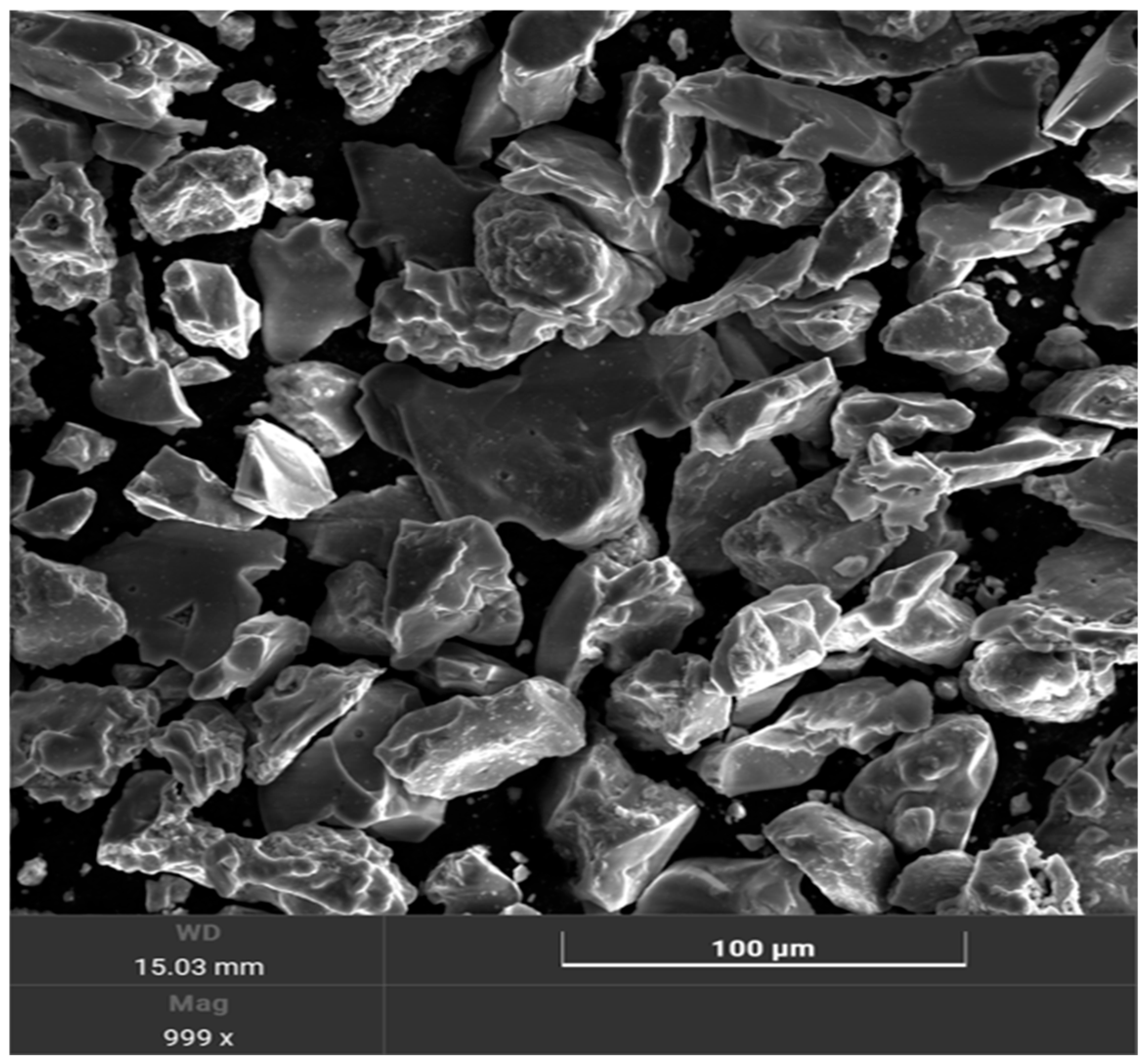 Lubricants 13 00297 g002