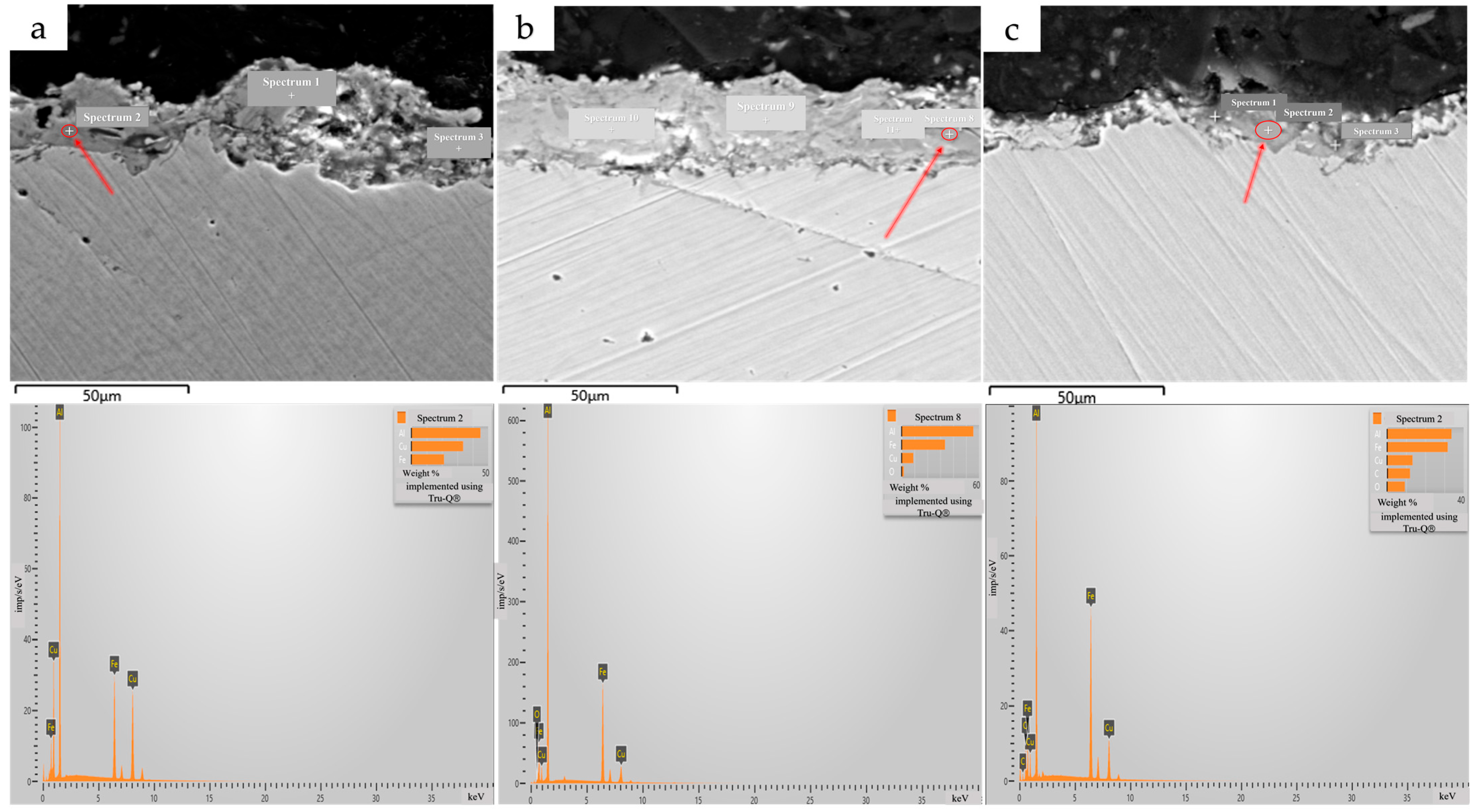 Lubricants 13 00297 g006