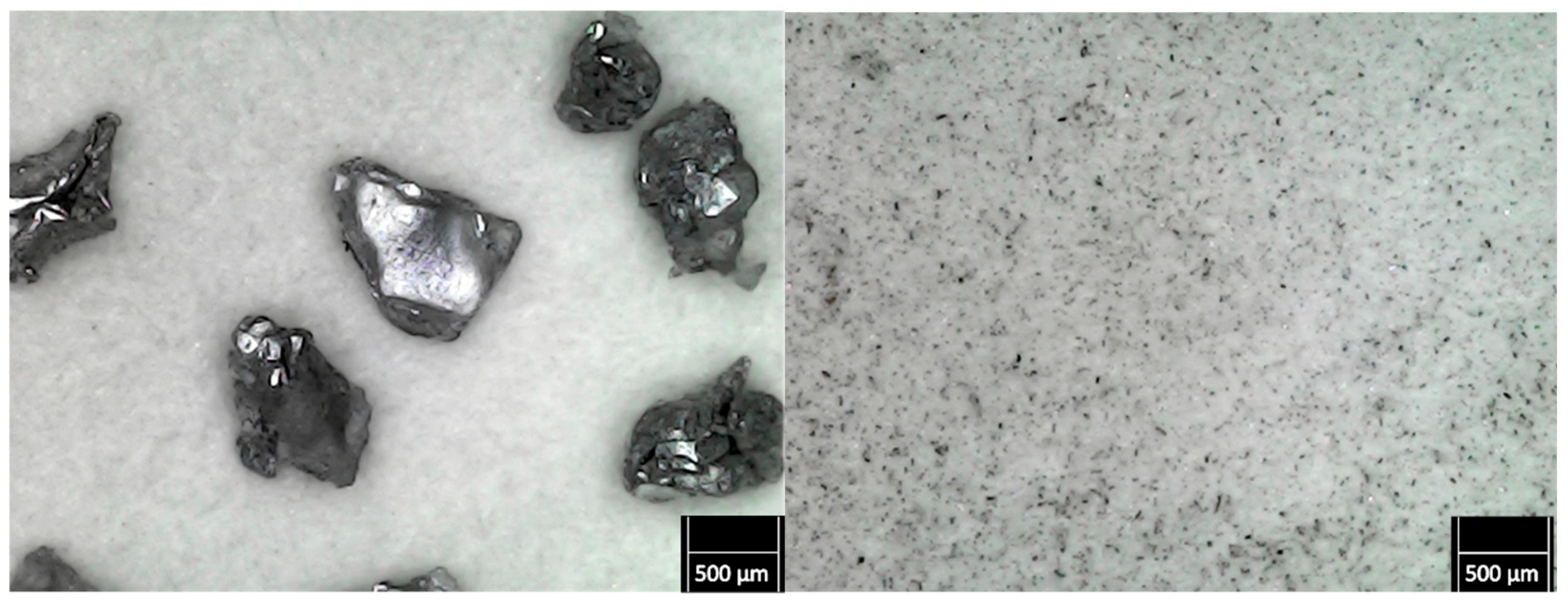 Lubricants 13 00304 g005