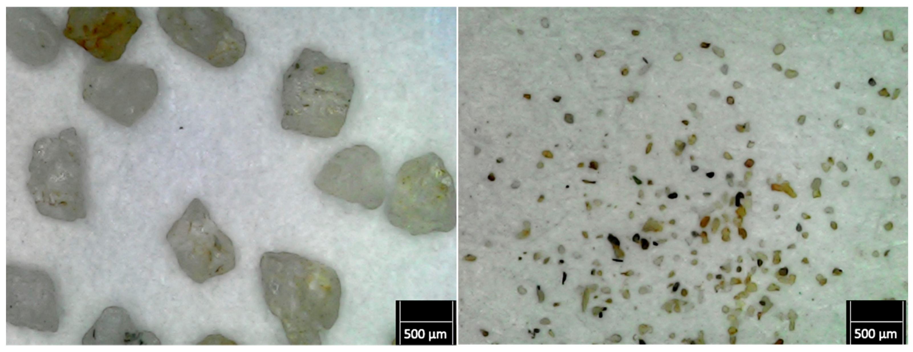 Lubricants 13 00304 g006