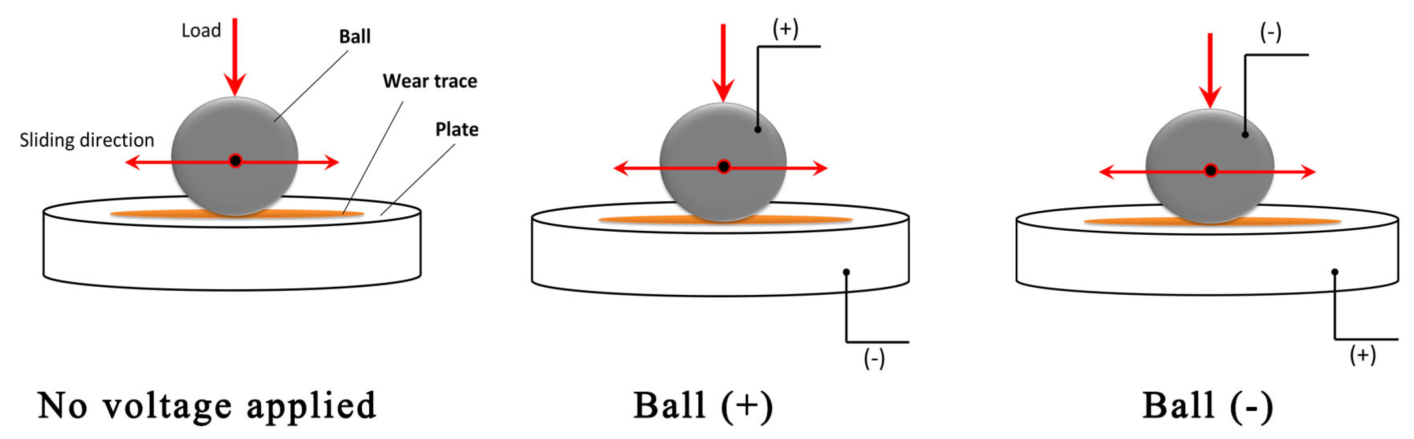 Lubricants 13 00311 g002