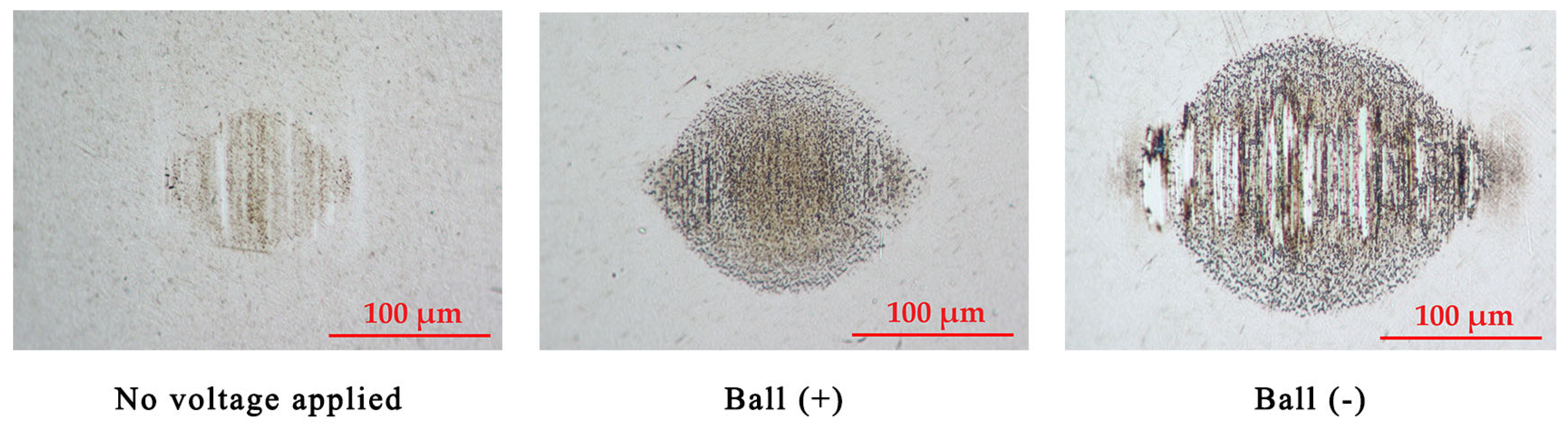Lubricants 13 00311 g004