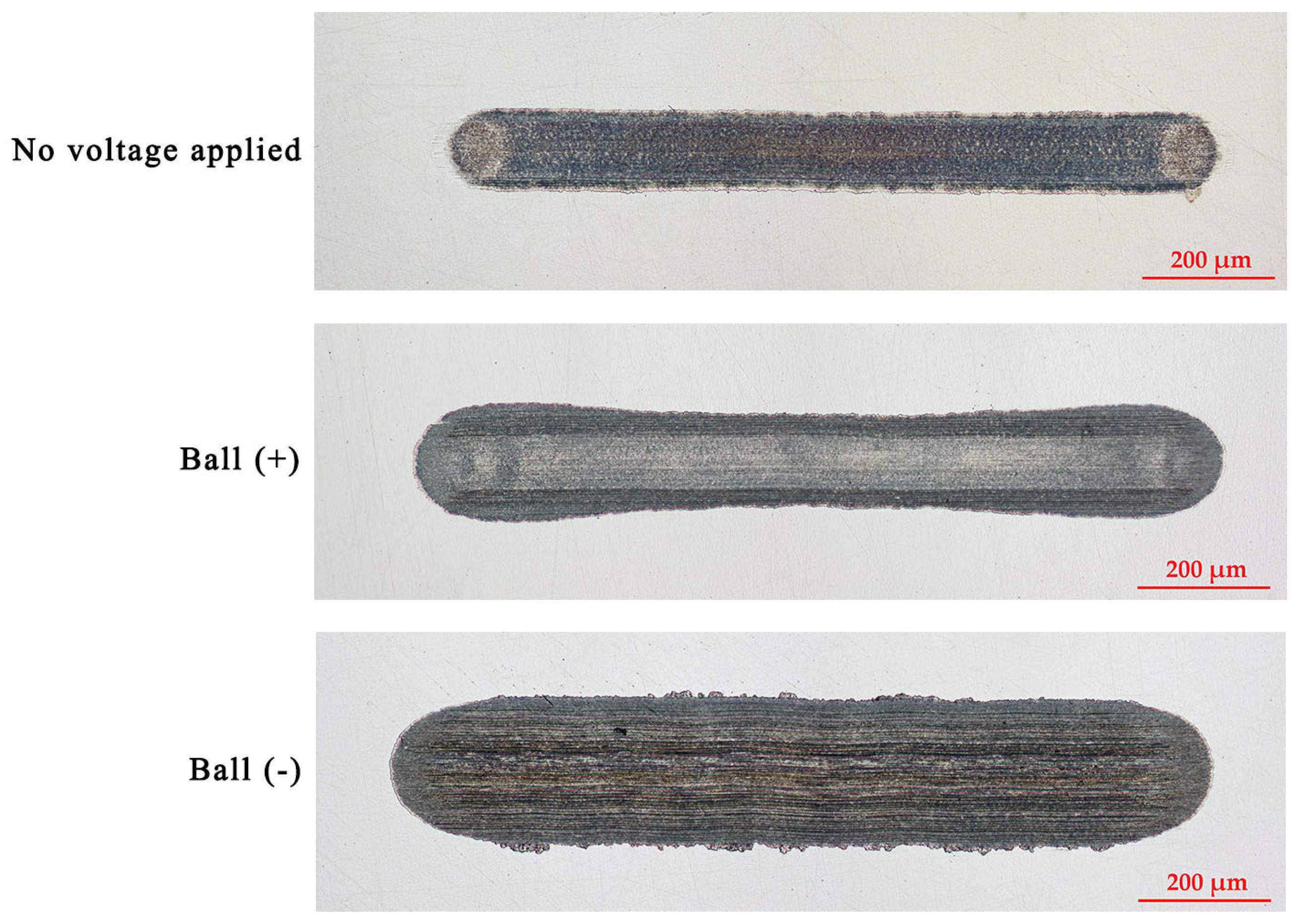 Lubricants 13 00311 g005
