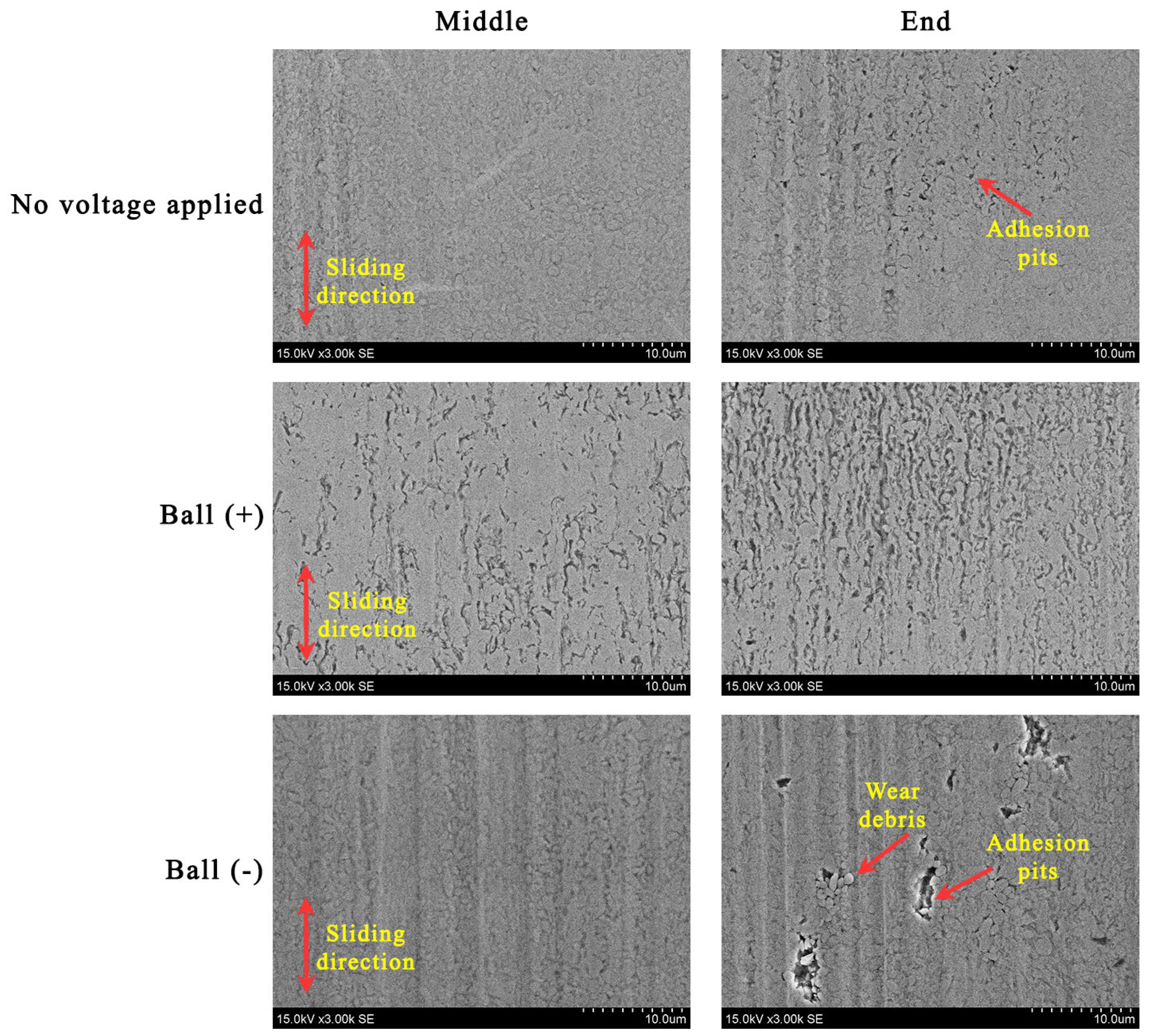 Lubricants 13 00311 g007