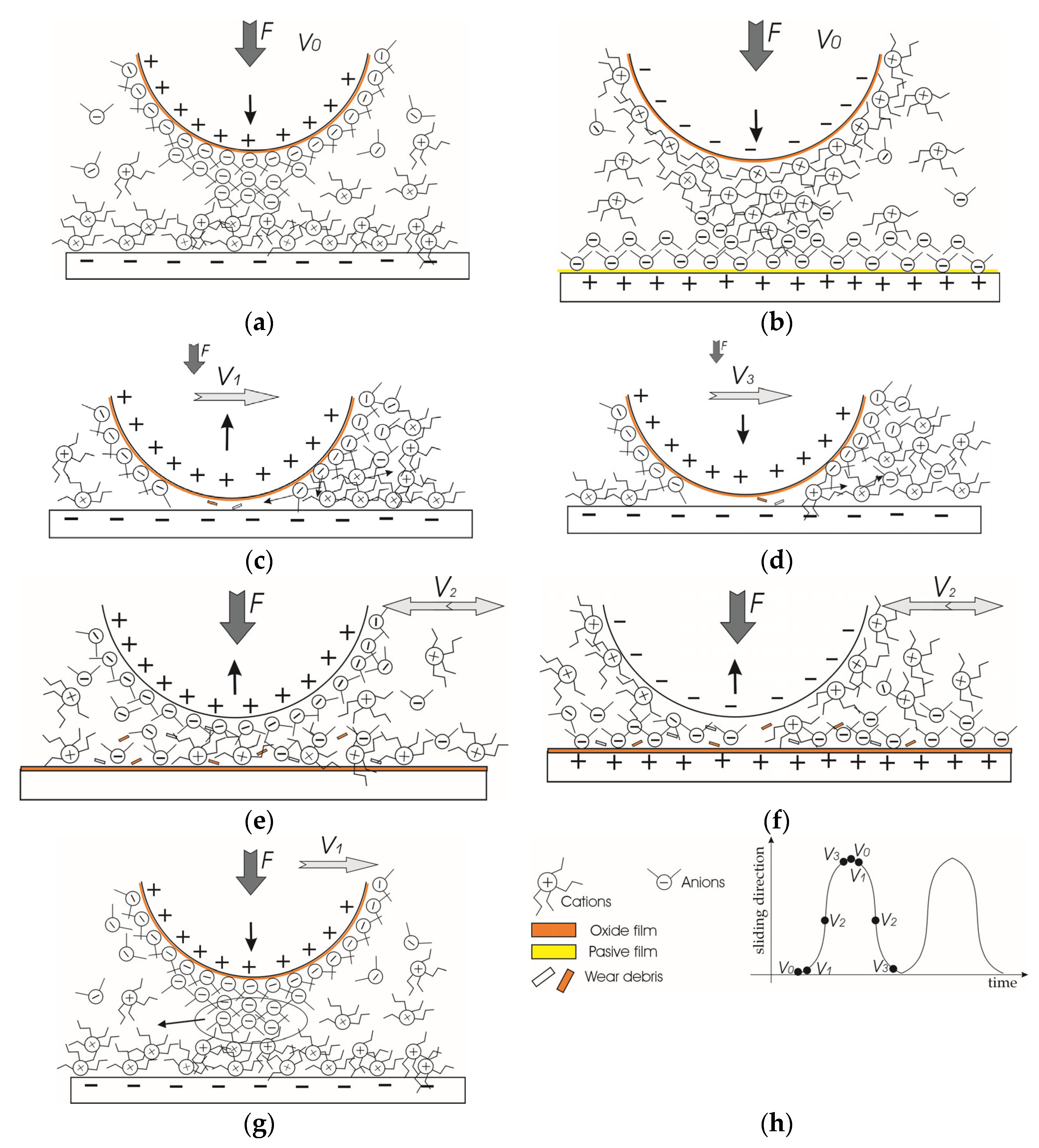 Lubricants 13 00311 g012