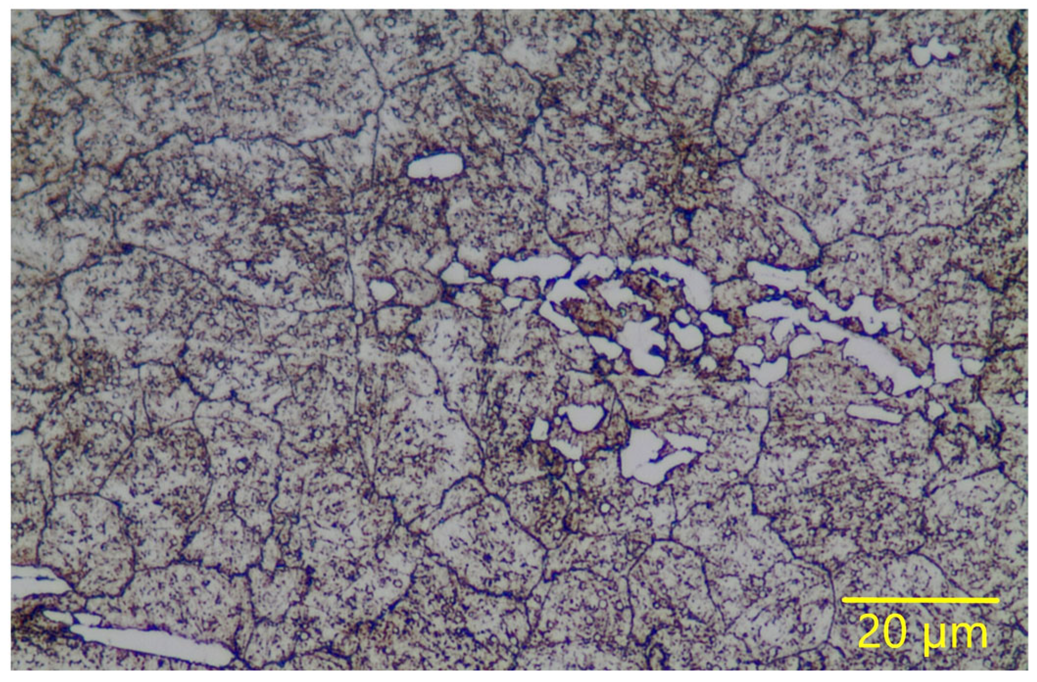 Lubricants 13 00312 g005