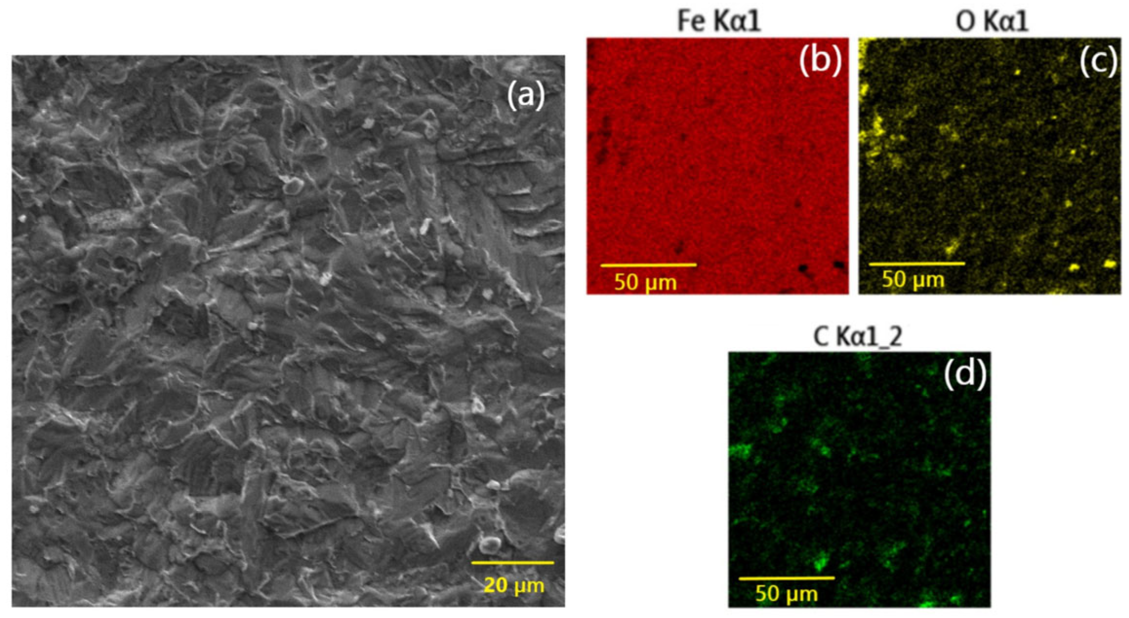 Lubricants 13 00312 g008