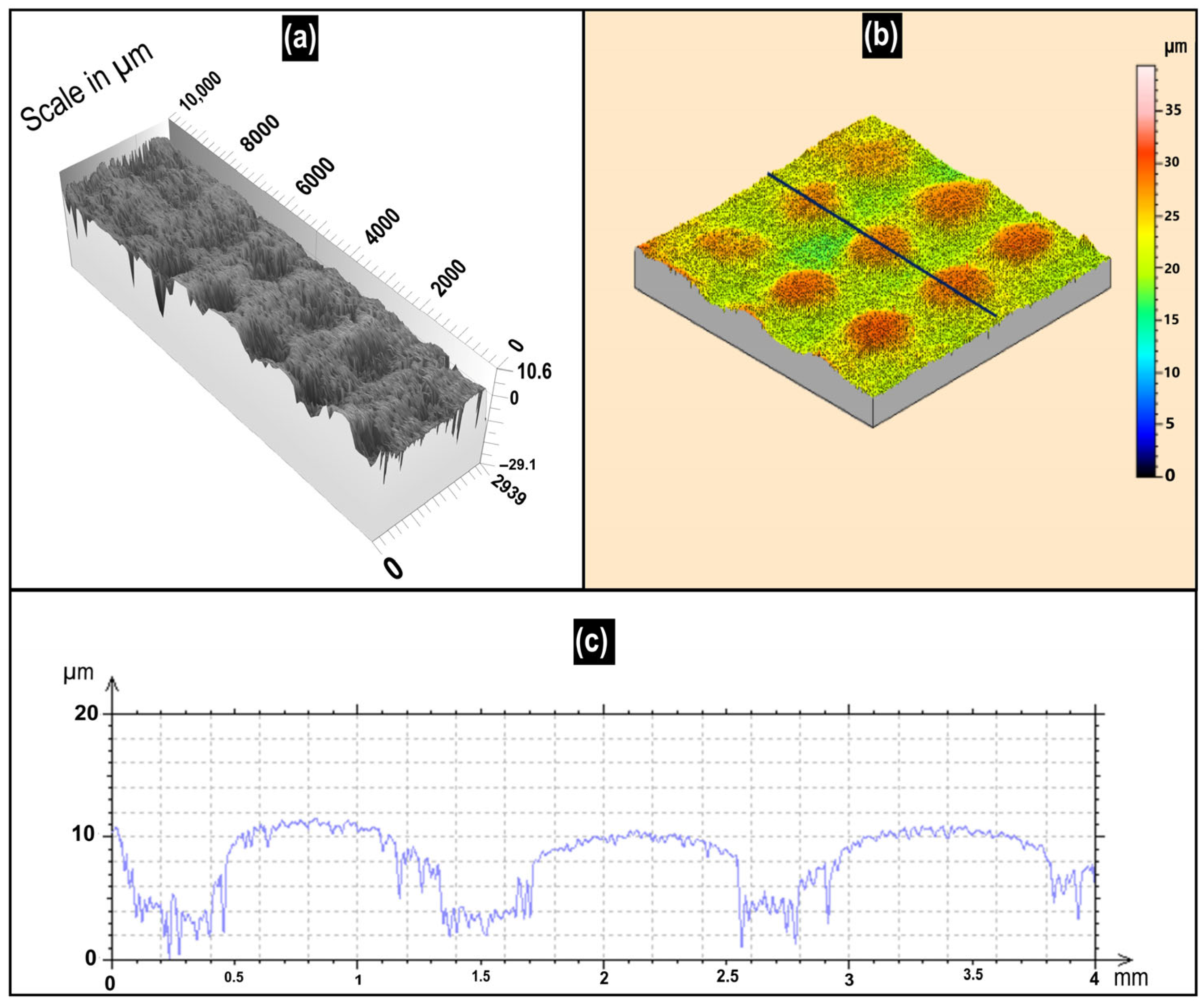 Lubricants 13 00312 g014