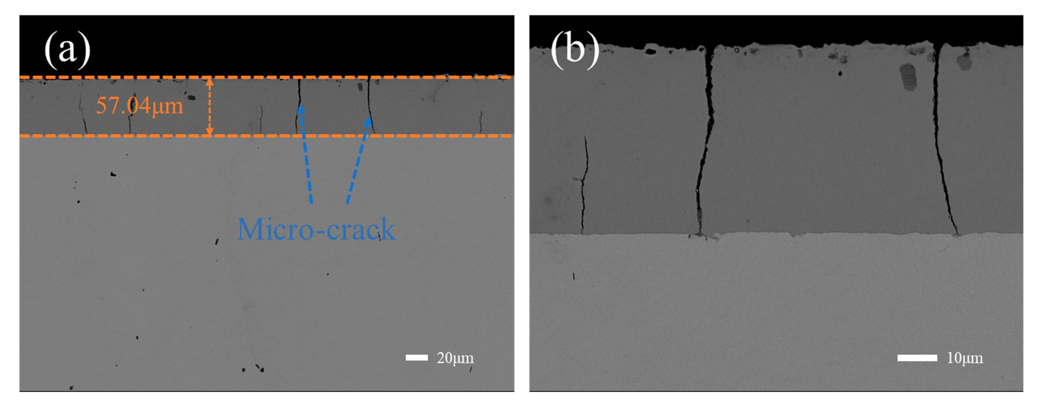 Lubricants 13 00313 g004