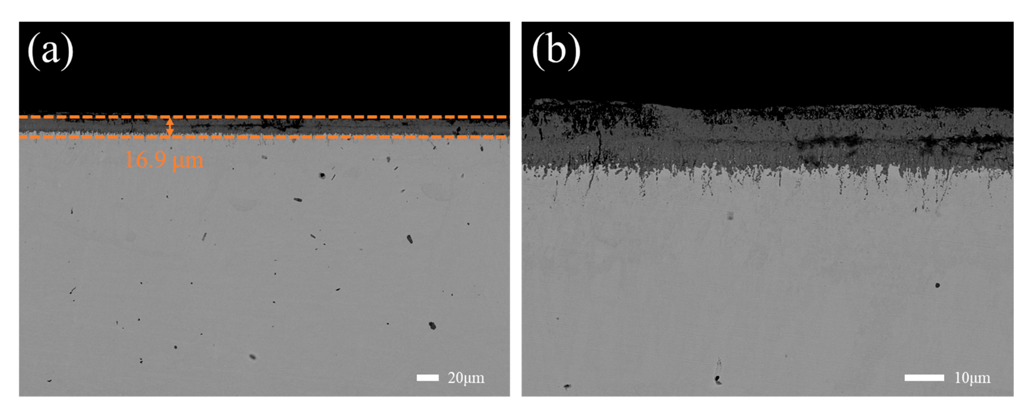 Lubricants 13 00313 g005