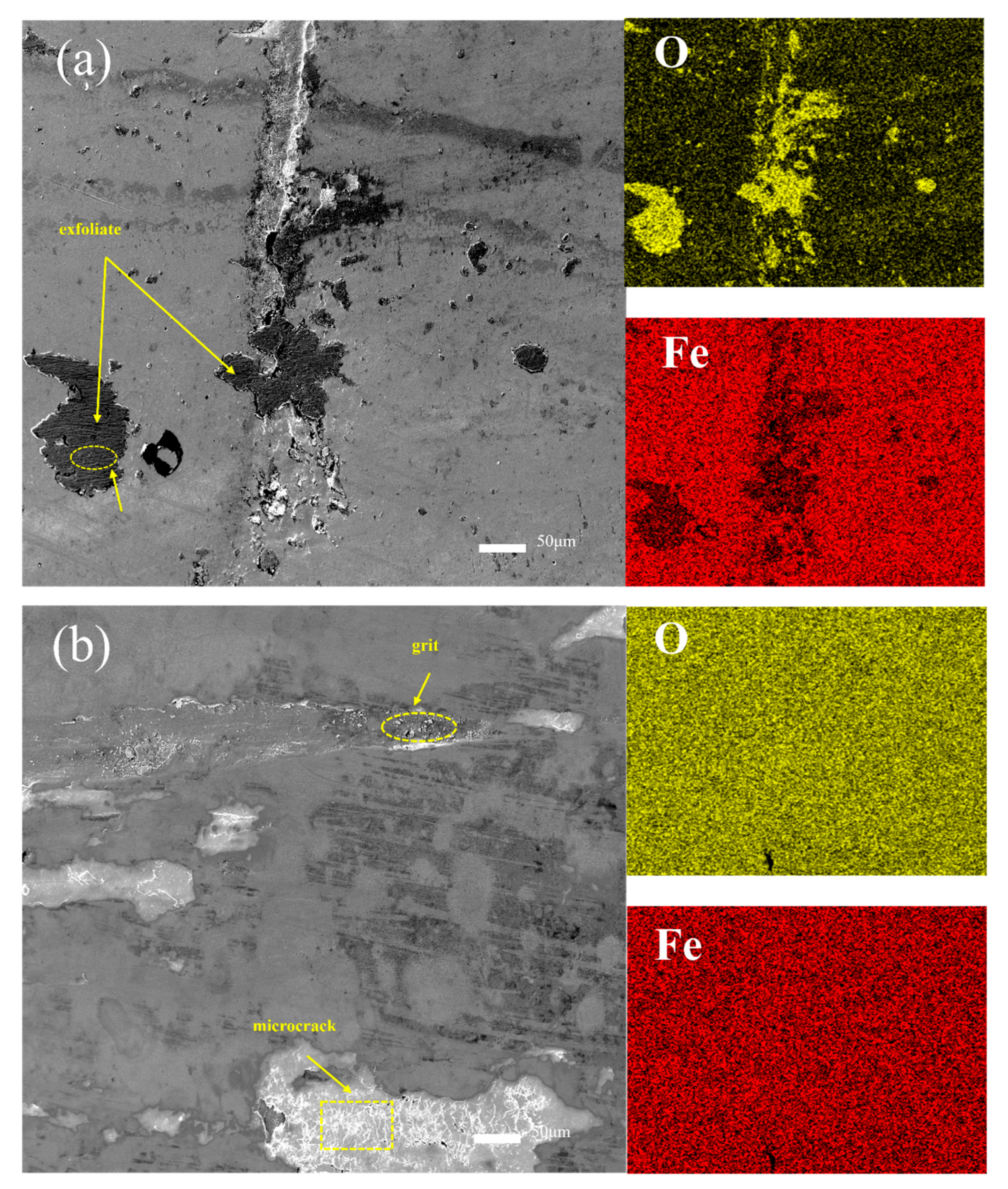 Lubricants 13 00313 g013