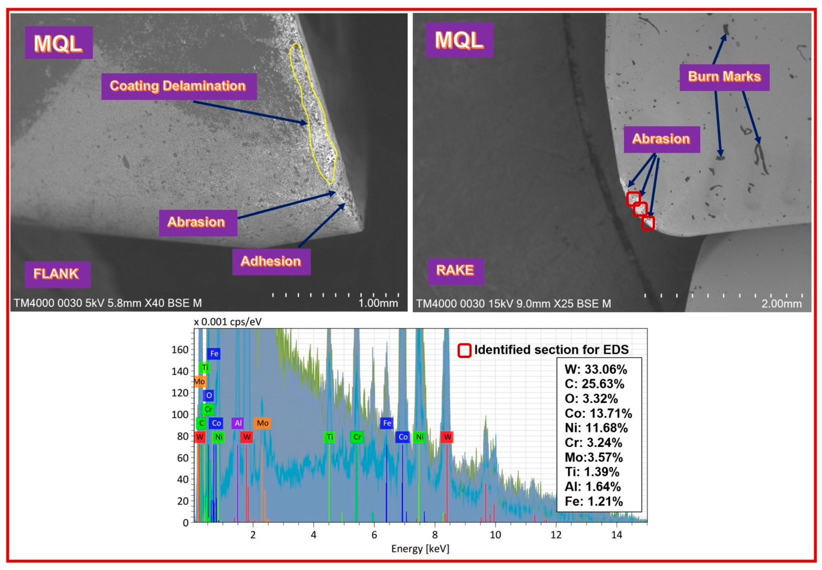 Lubricants 13 00316 g008