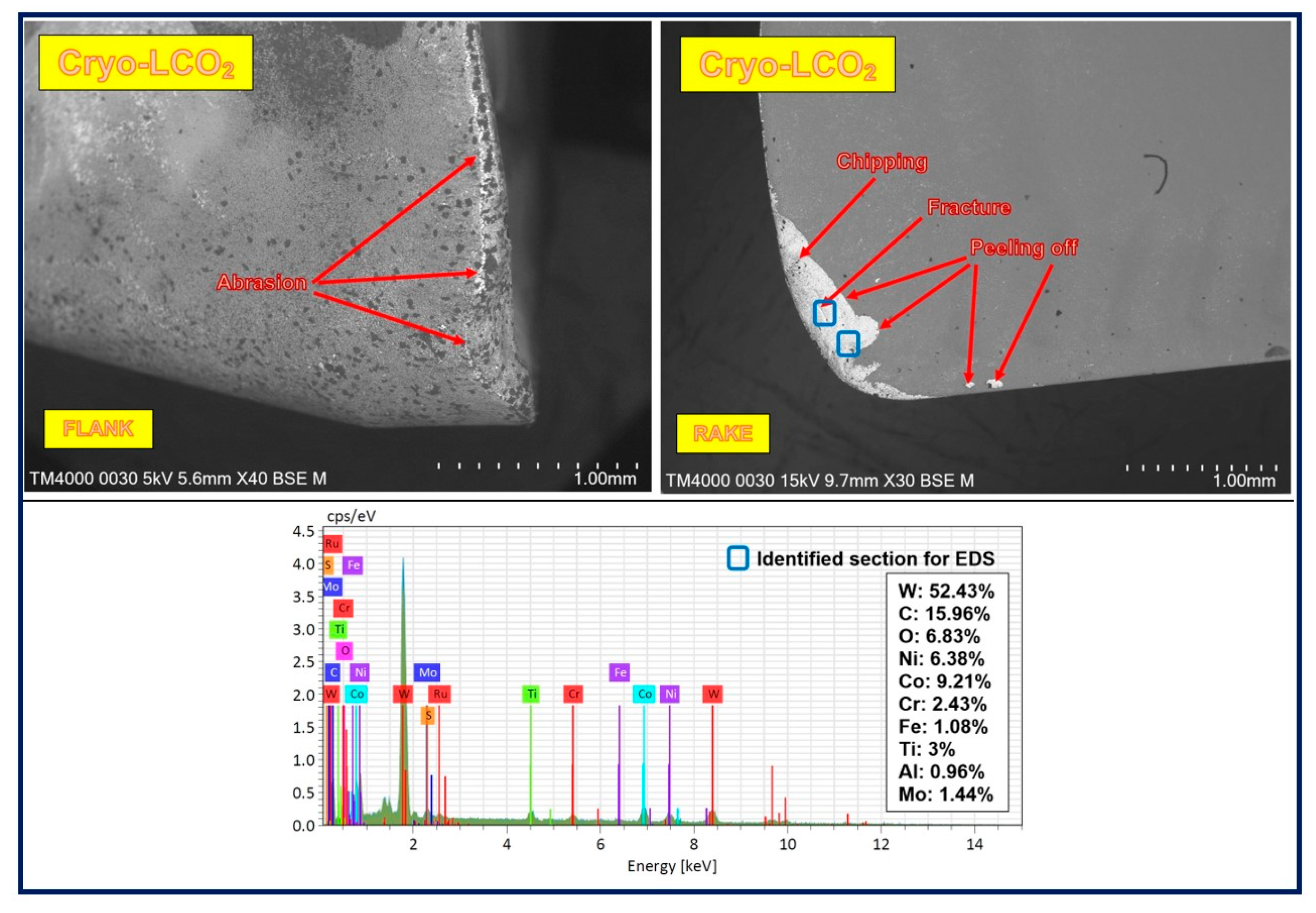 Lubricants 13 00316 g010