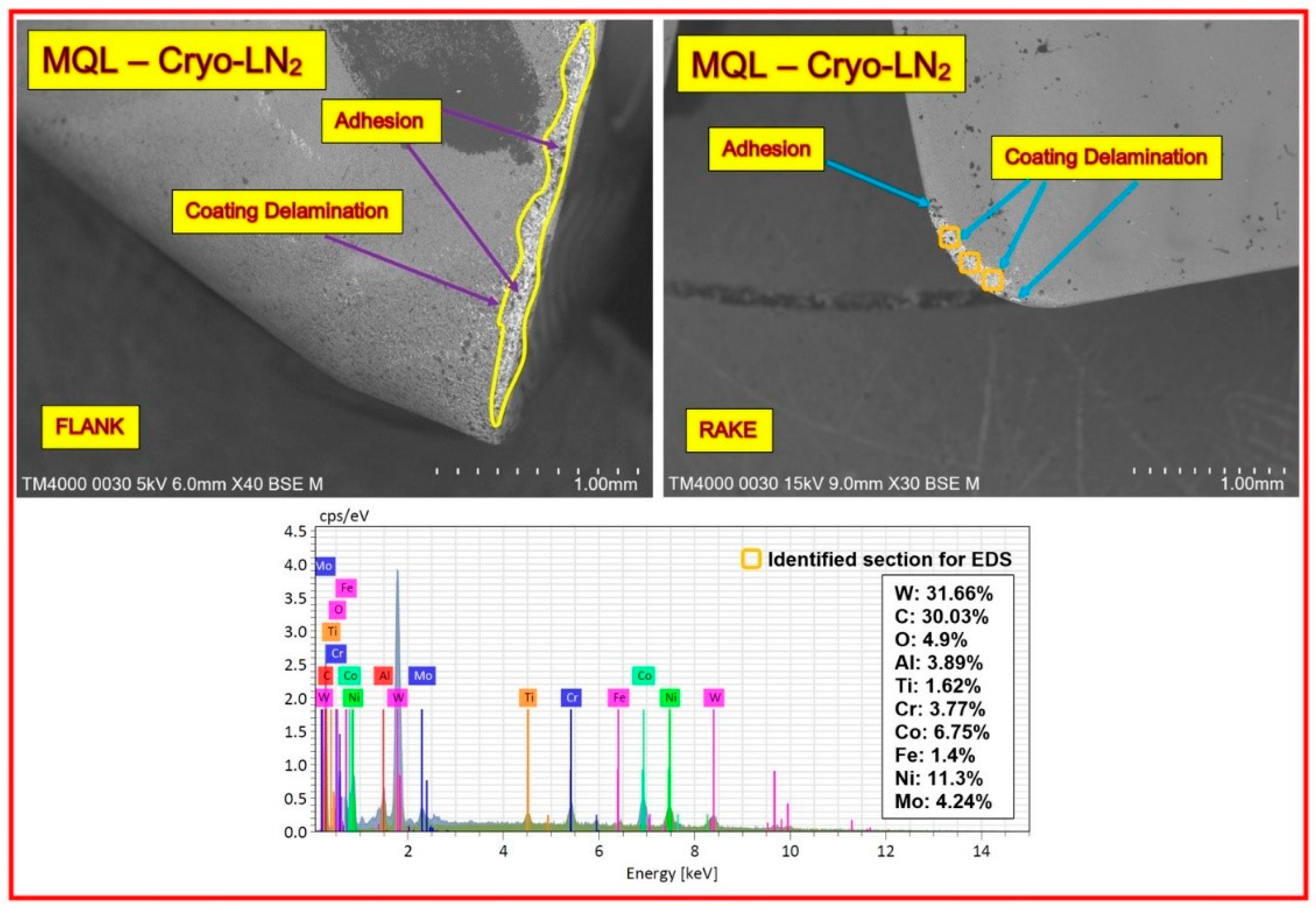 Lubricants 13 00316 g011