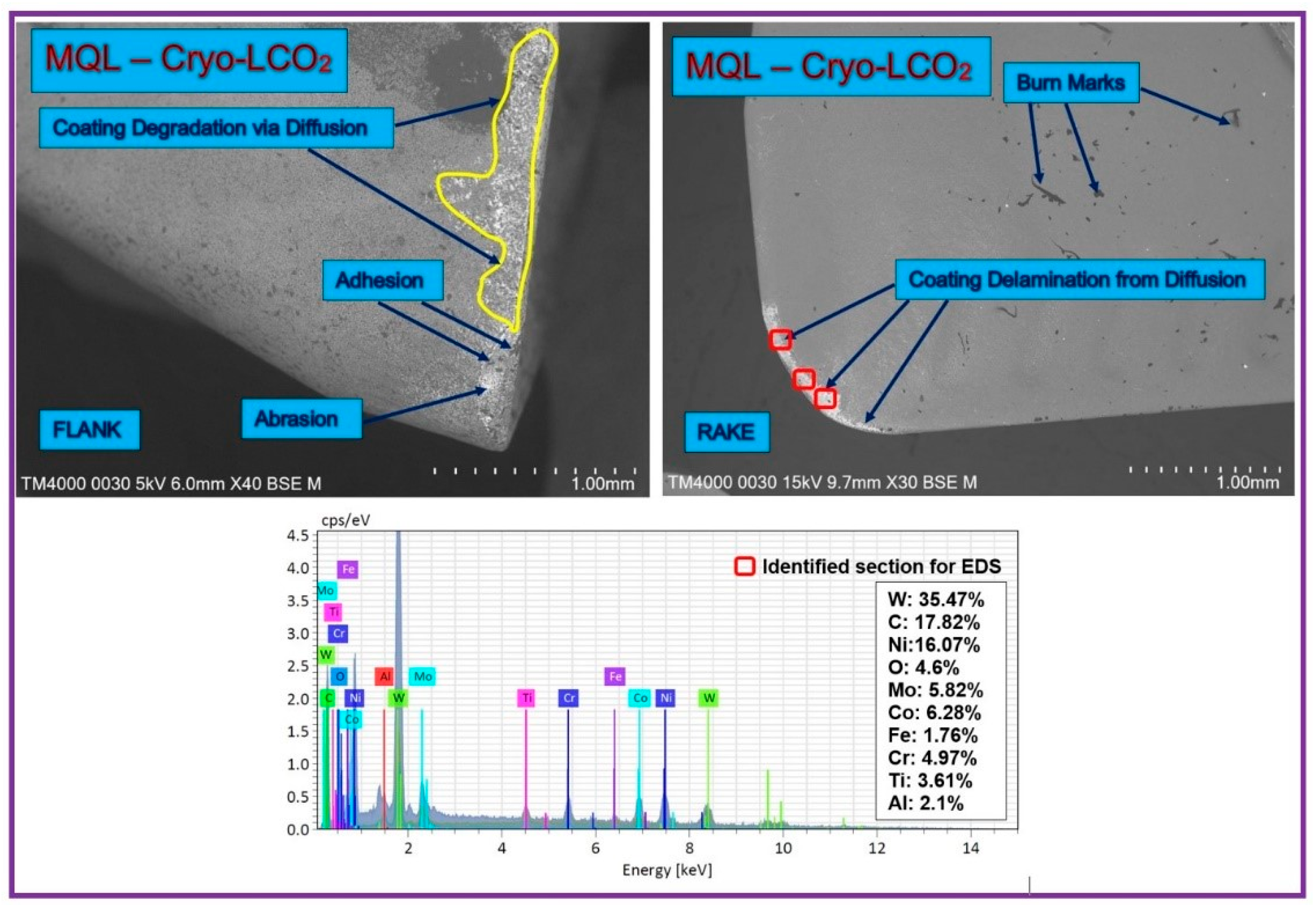 Lubricants 13 00316 g012