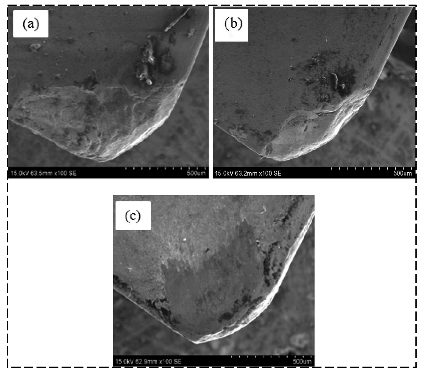 Lubricants 13 00322 g018