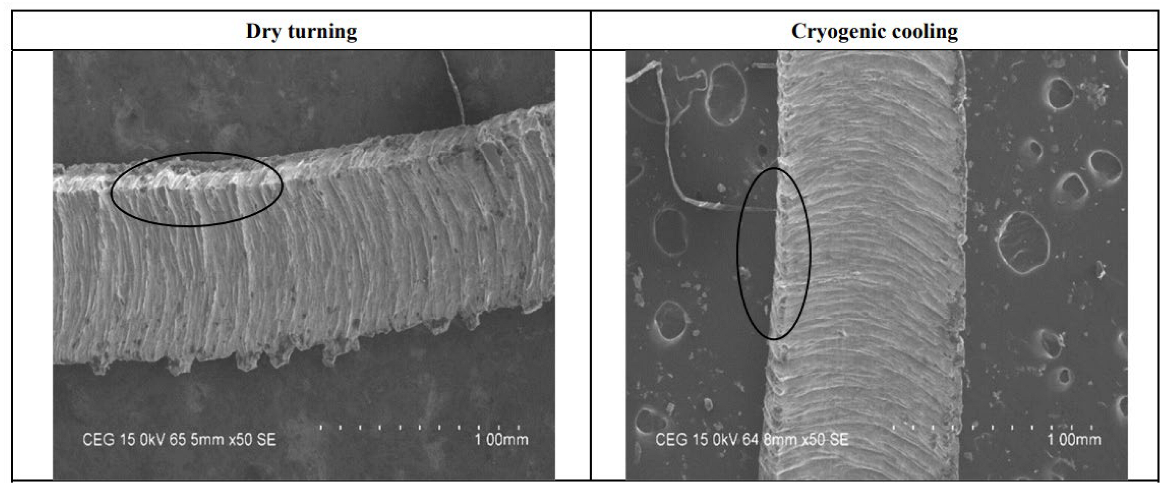 Lubricants 13 00322 g021