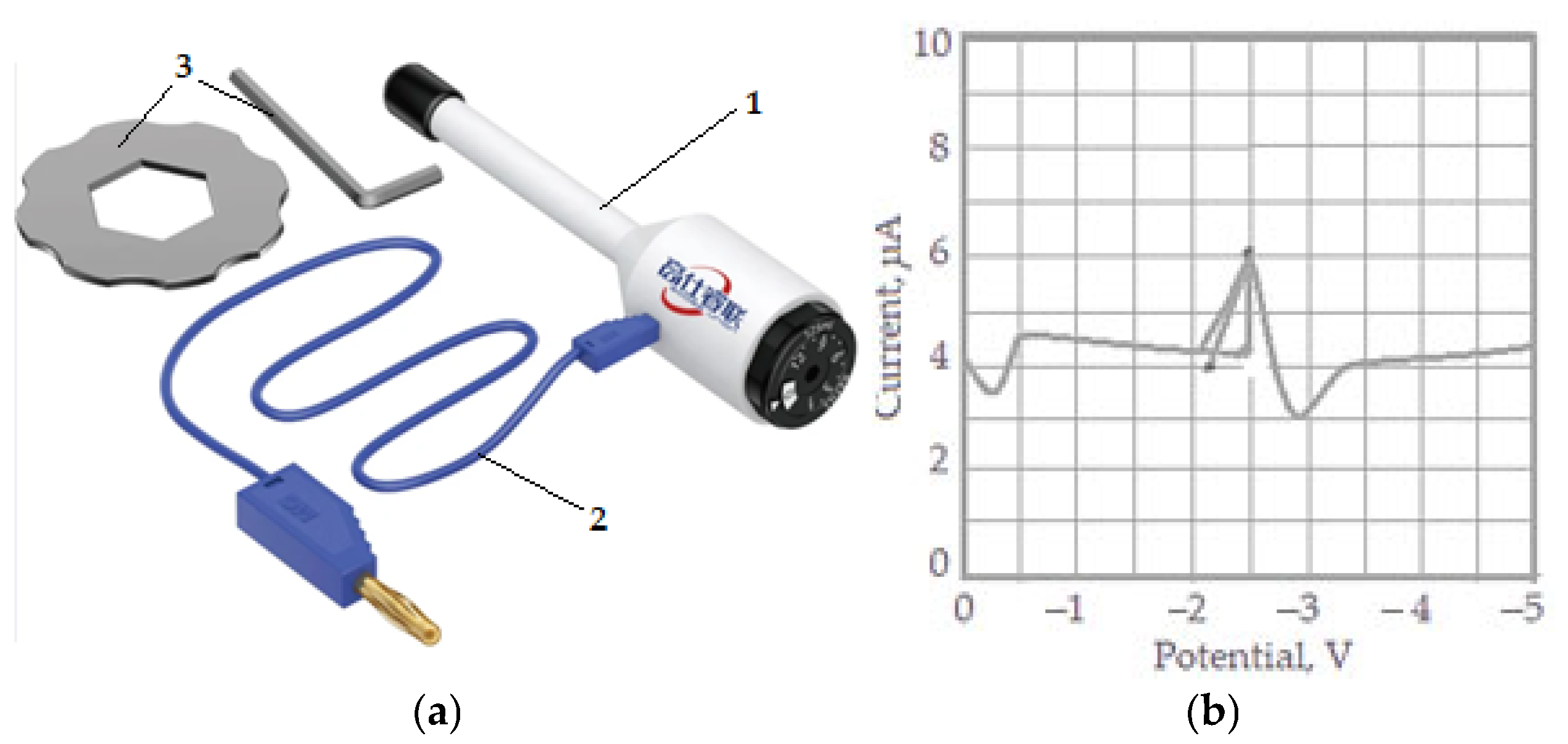 Lubricants 13 00331 g001