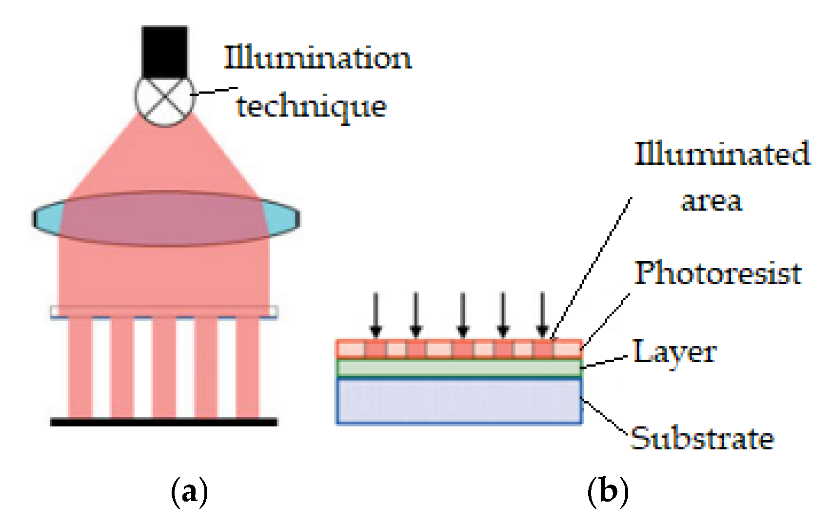 Lubricants 13 00331 g008