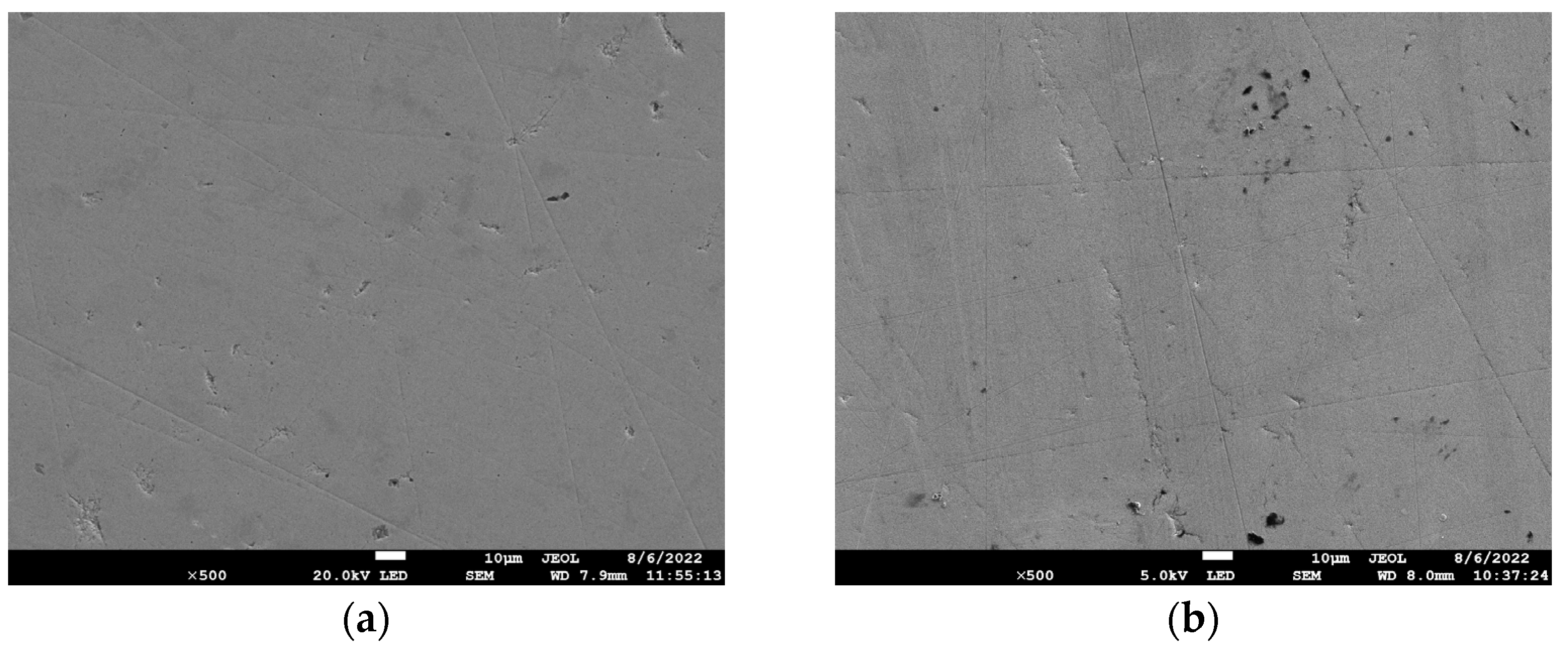 Lubricants 13 00336 g006 Lubricants 13 00336 g006